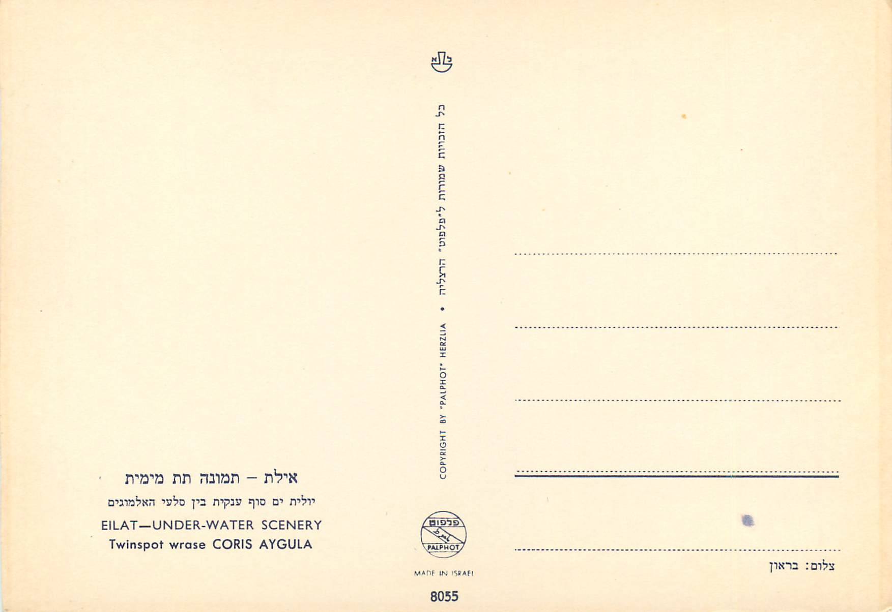 CPM Eilat Red Sea Under-water Scenery — Back