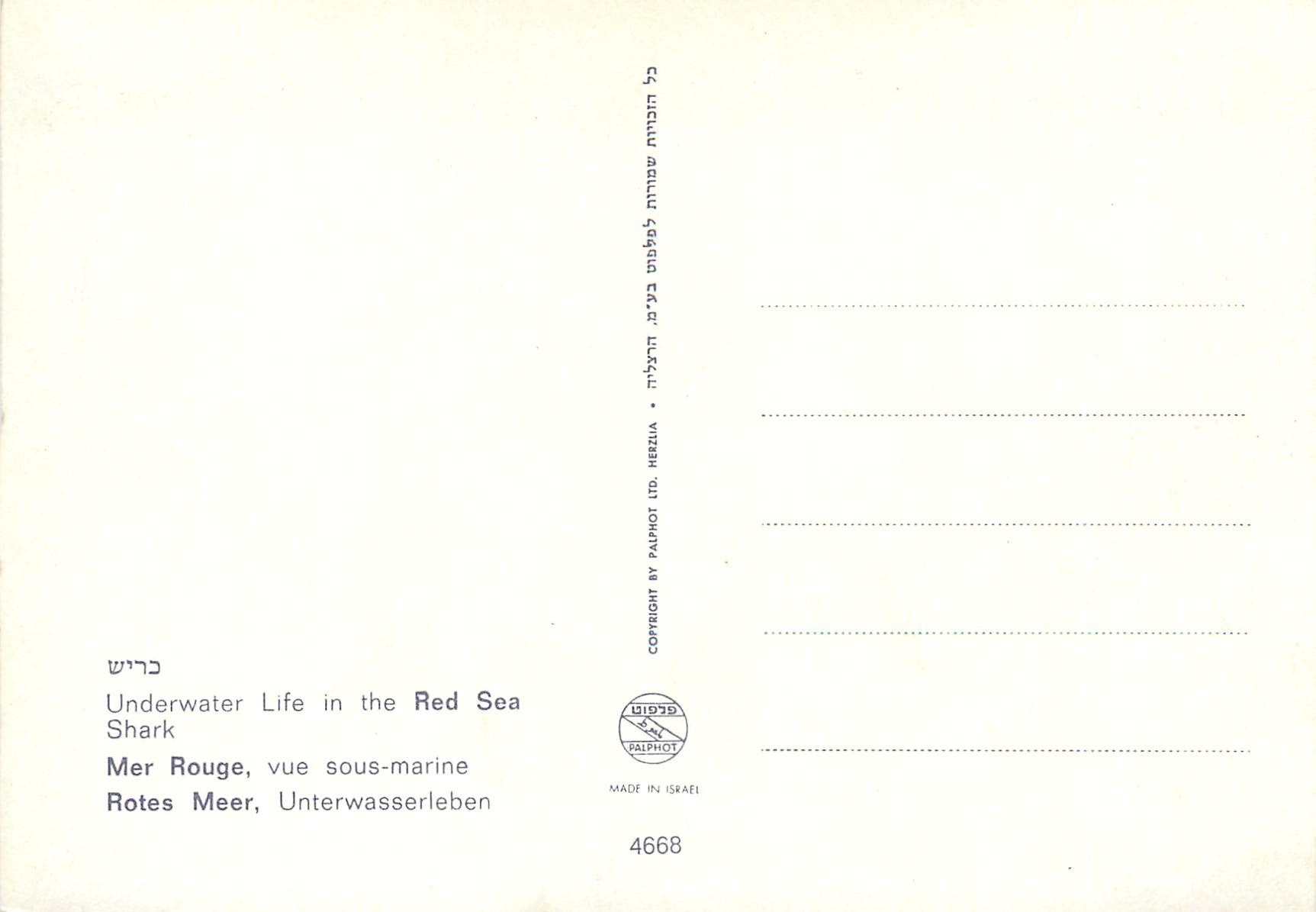 CPM Underwater Life in the Red Sea A Shark — Rückseite