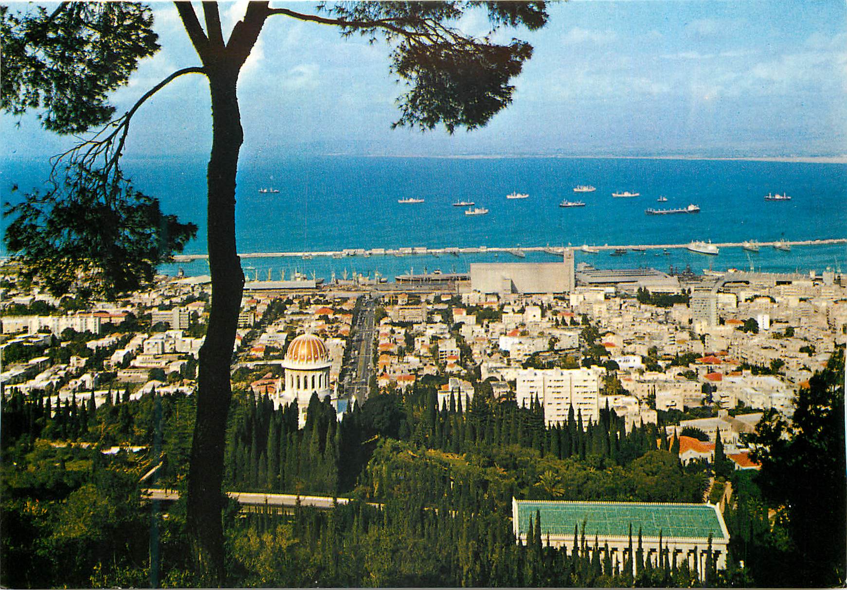 CPM Haifa one of the biggest towns in the country