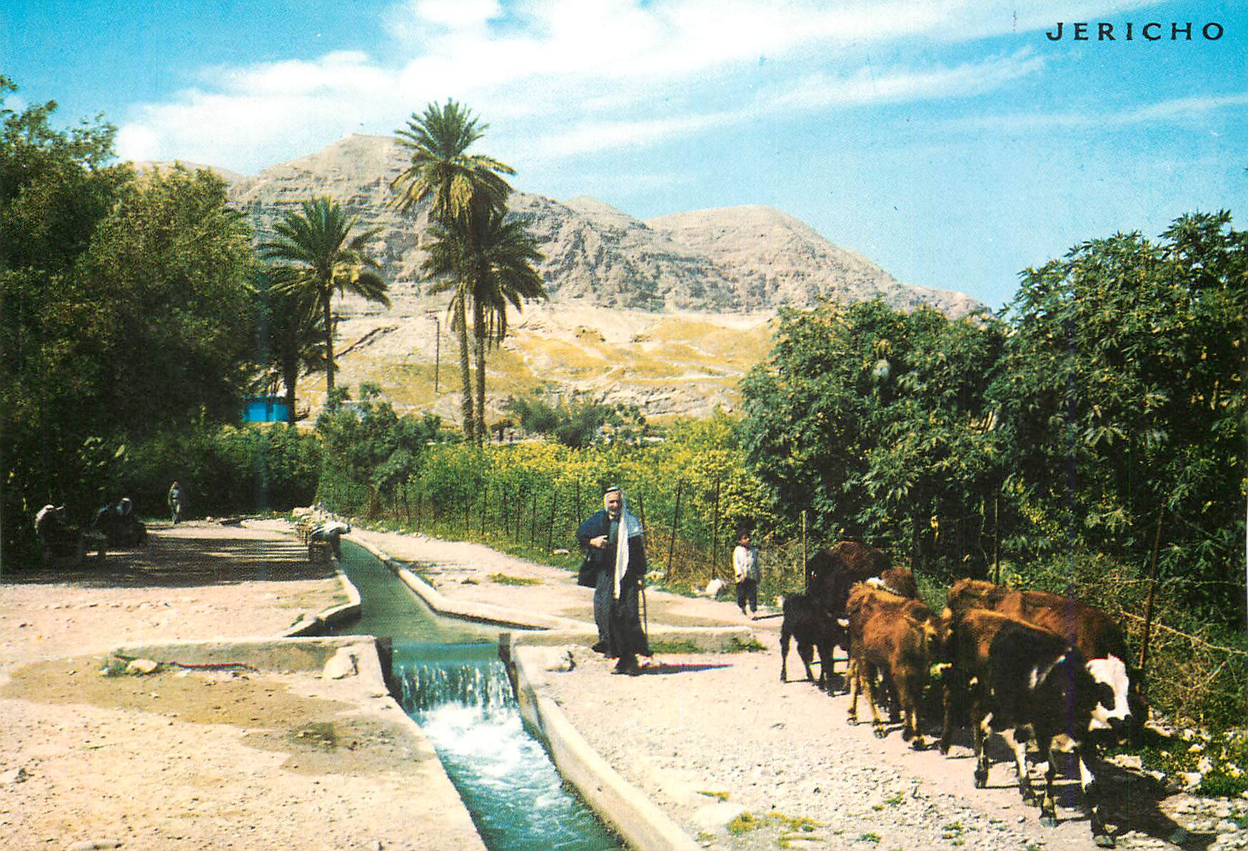 CPM Jericho Canal d'irrigation en provenance de la source d'Elisha Vaches