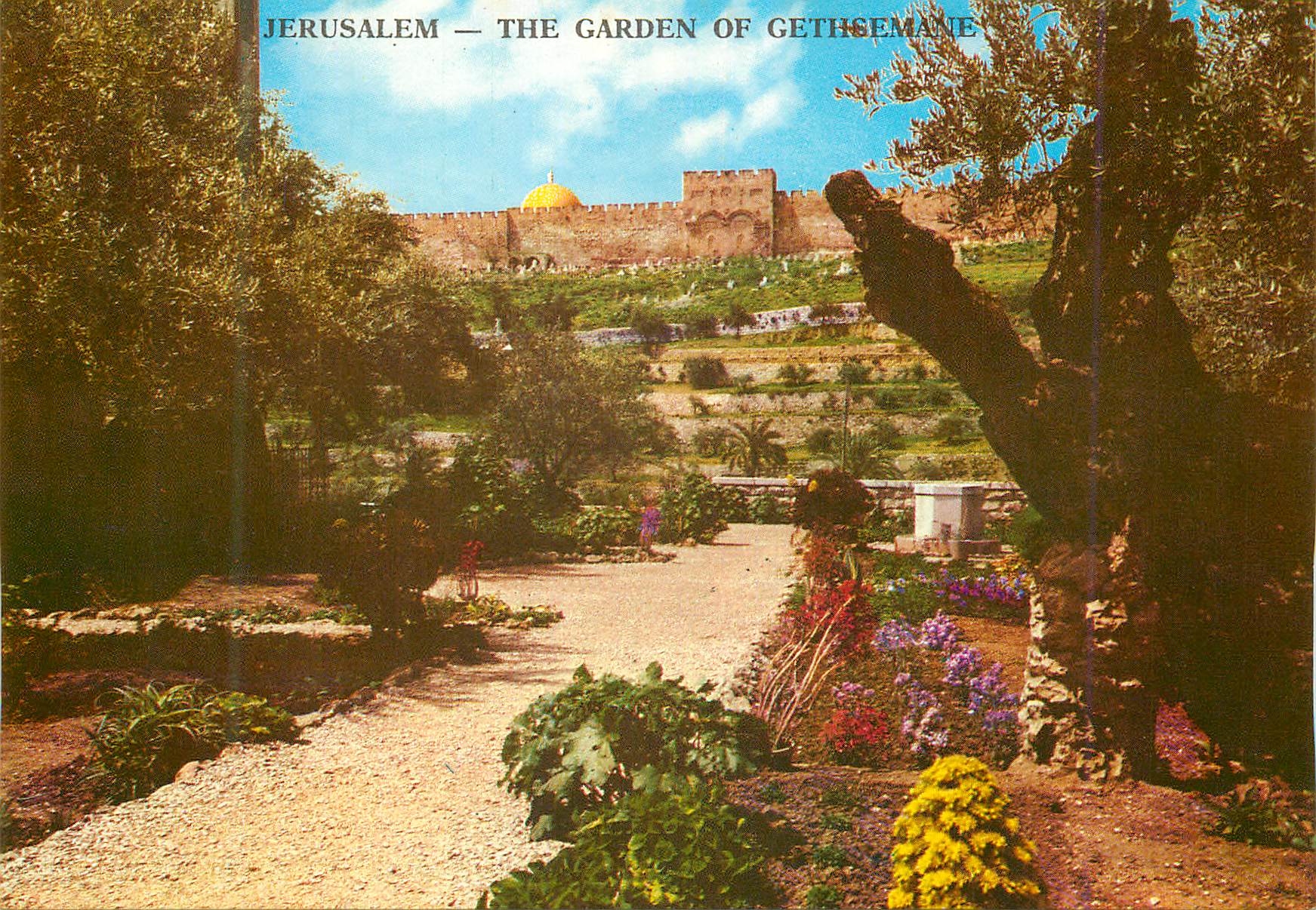 CPM Jerusalem The Garden of Gethsemane