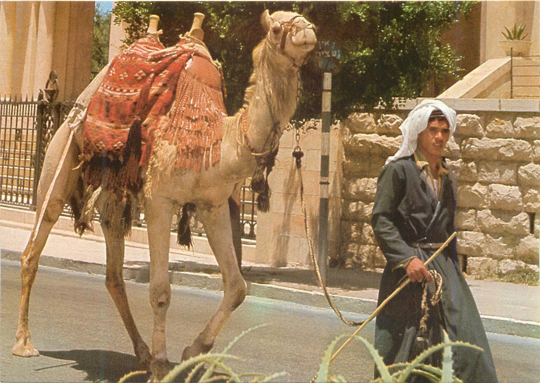 CPM Jerusalem Old City Street Scene