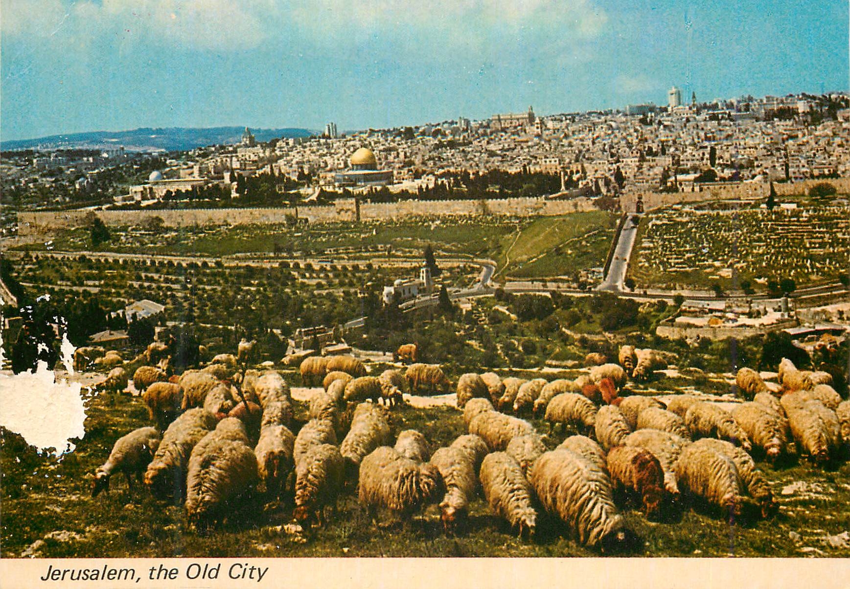 Jérusalem, la Vieille Ville — vue générale — PALPHOT n°3768