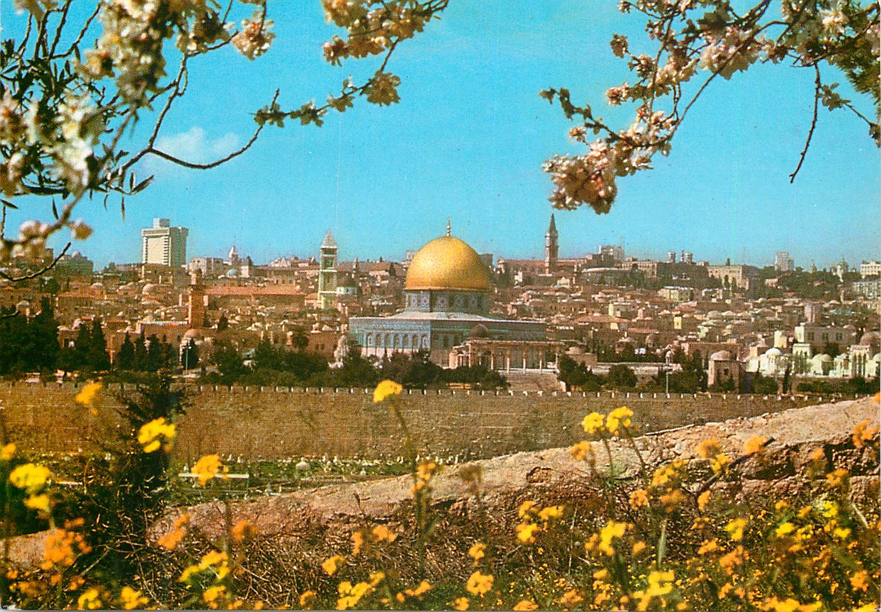 CPM Jerusalem La Vieille Ville vue du Mont des Oliviers