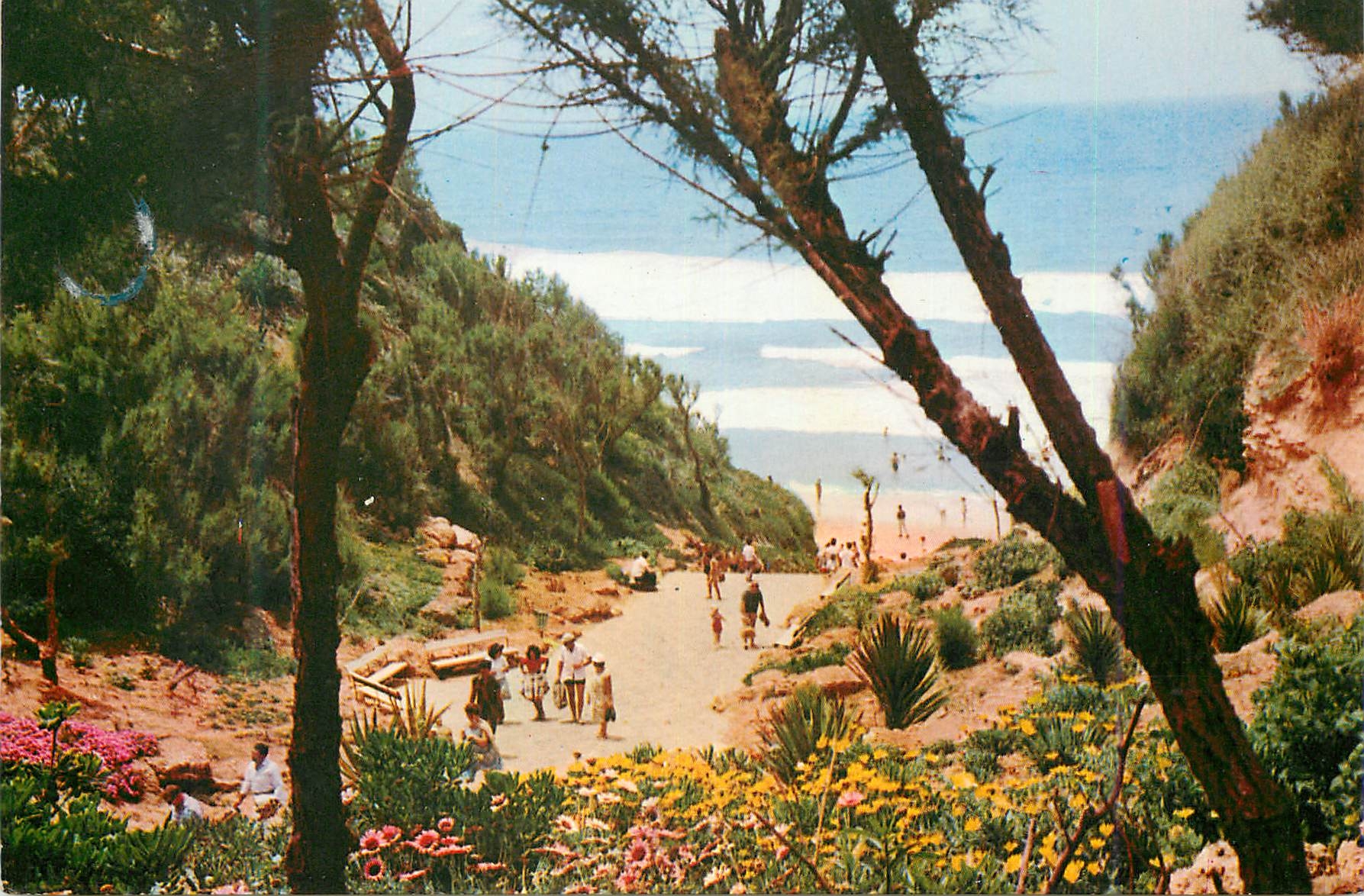 CPM Nathanya descent of the Sea