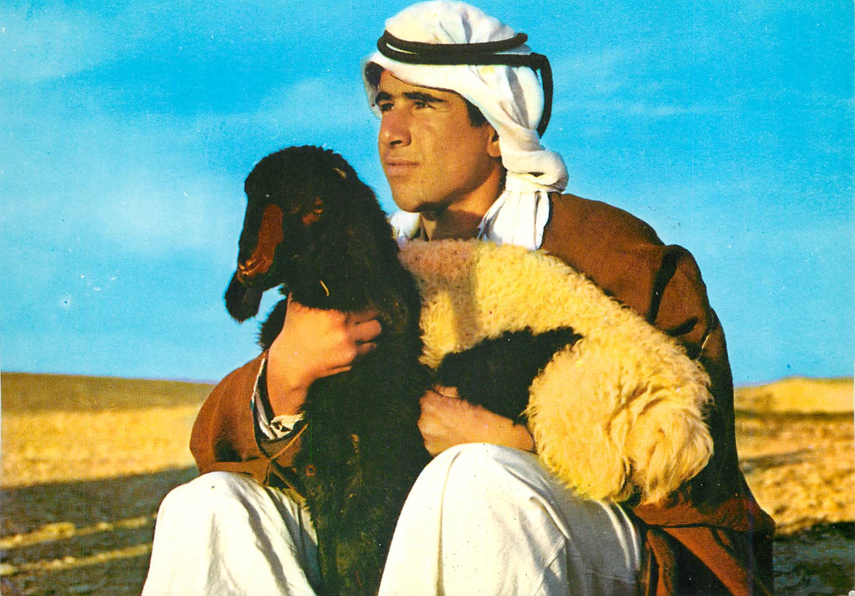 CPM Berger tenant un de ses moutons