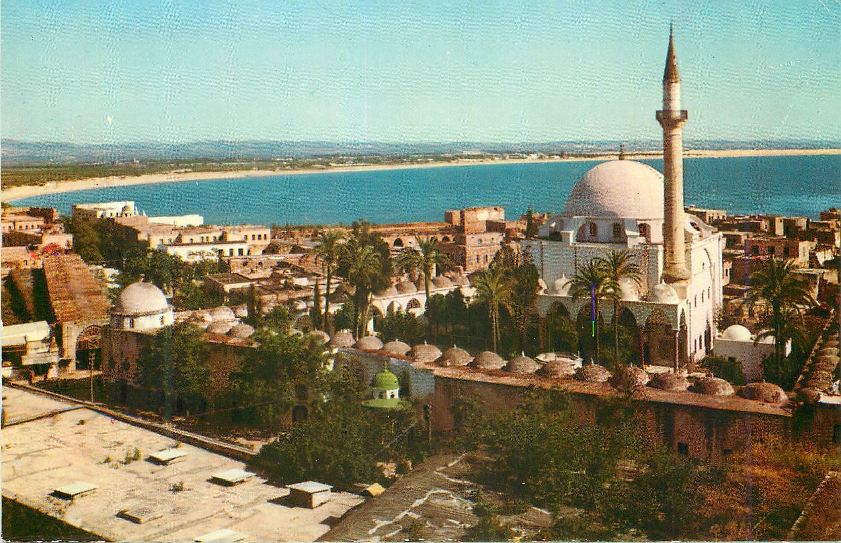 CPM Acre General View
