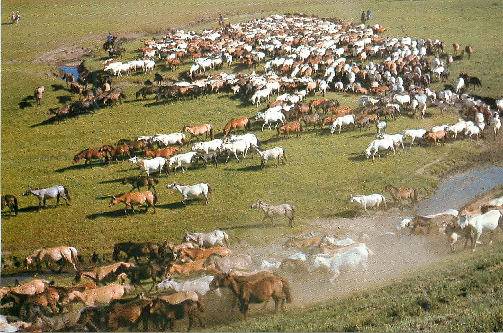 CPM China The grasslandes of Xilin Gol