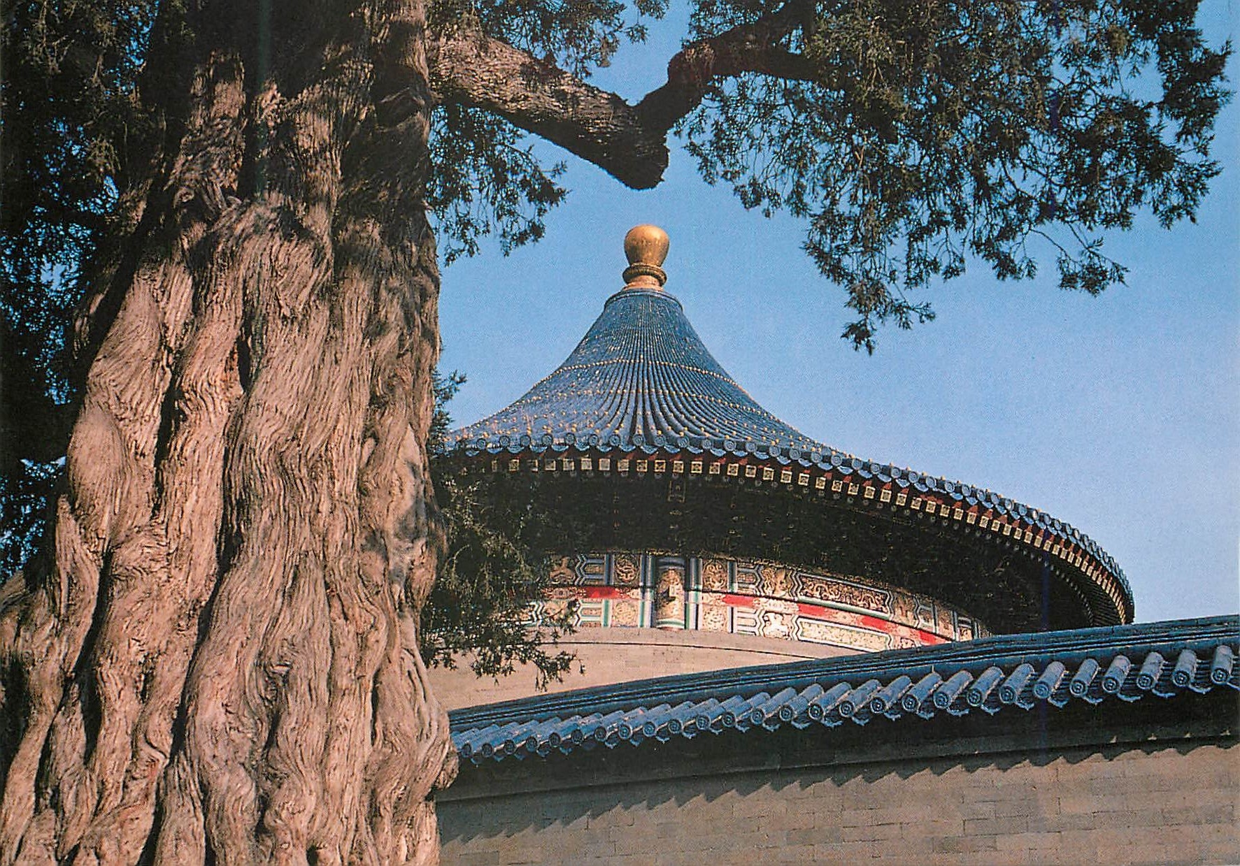 CPM China A Corner of Tiantan Park Temple of Heaven