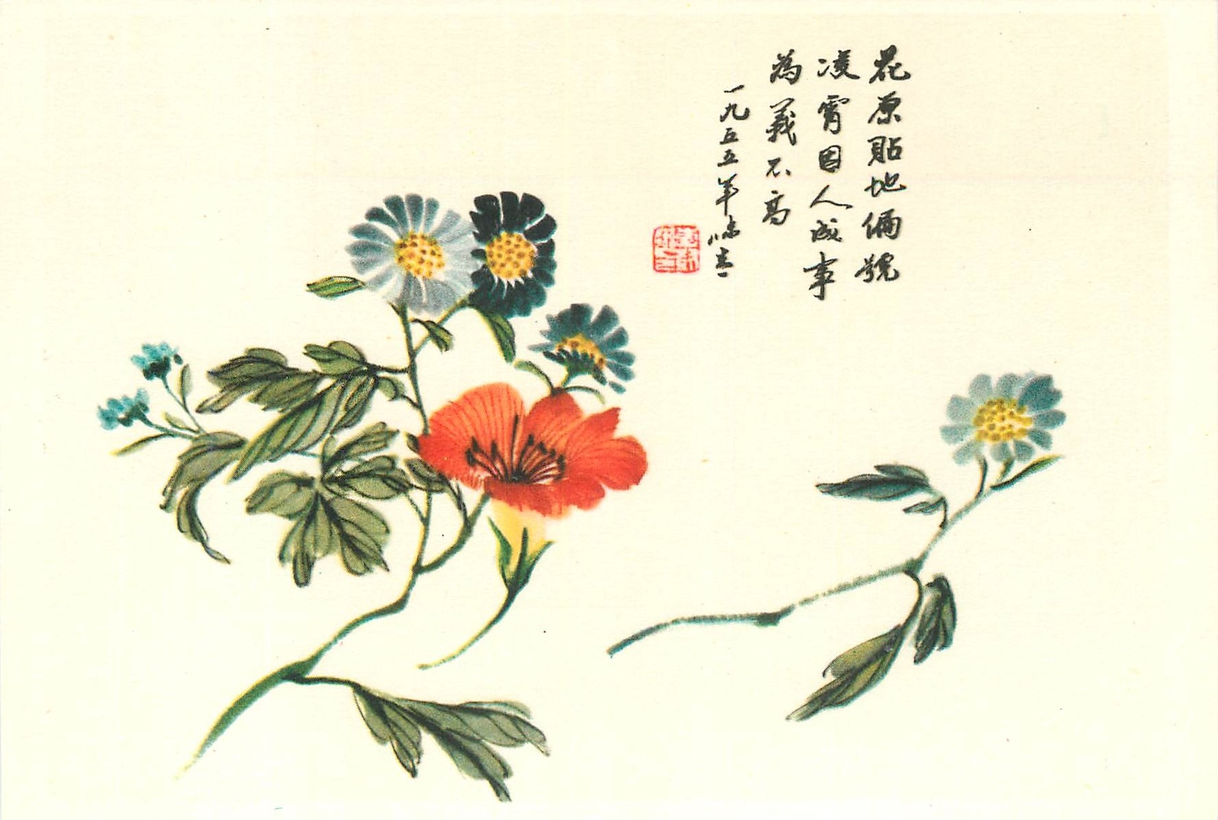CPM China Capucine et Chrysanthemes sauvages
