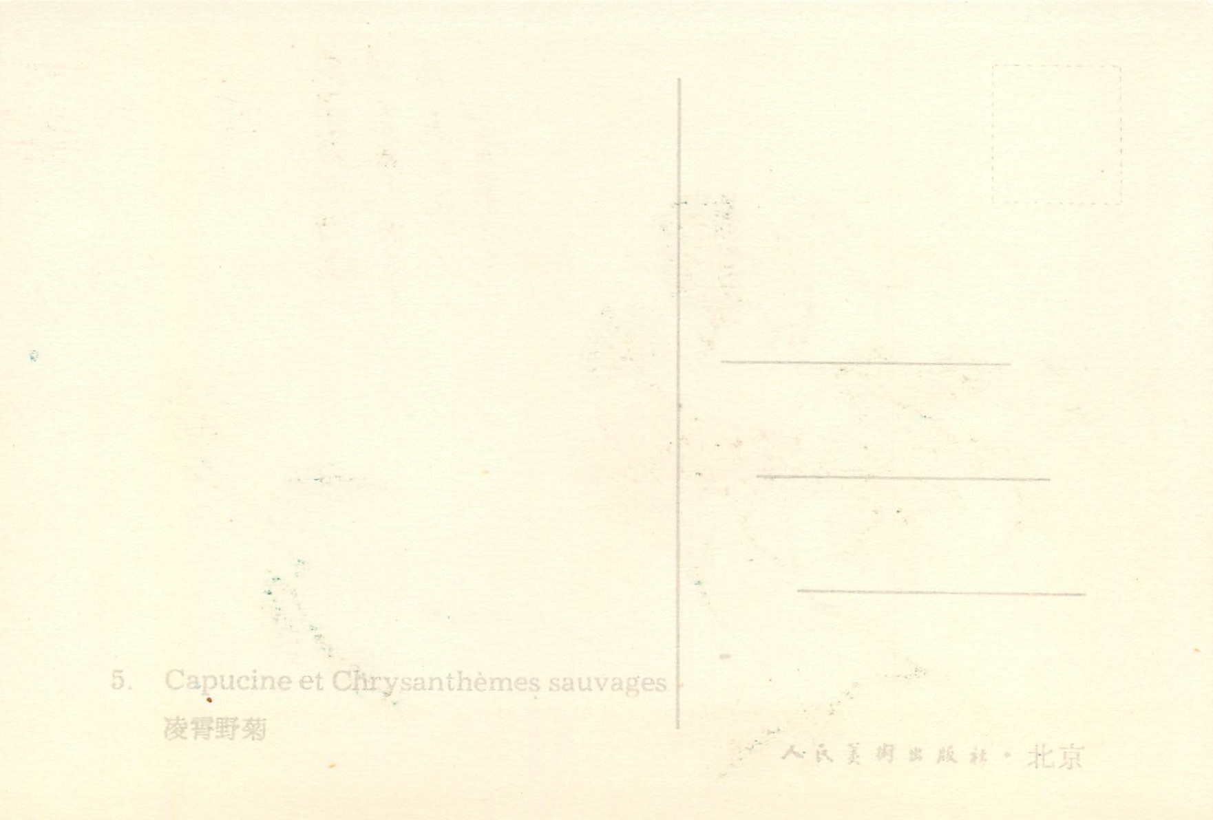 CPM China Capucine et Chrysanthemes sauvages — Rückseite