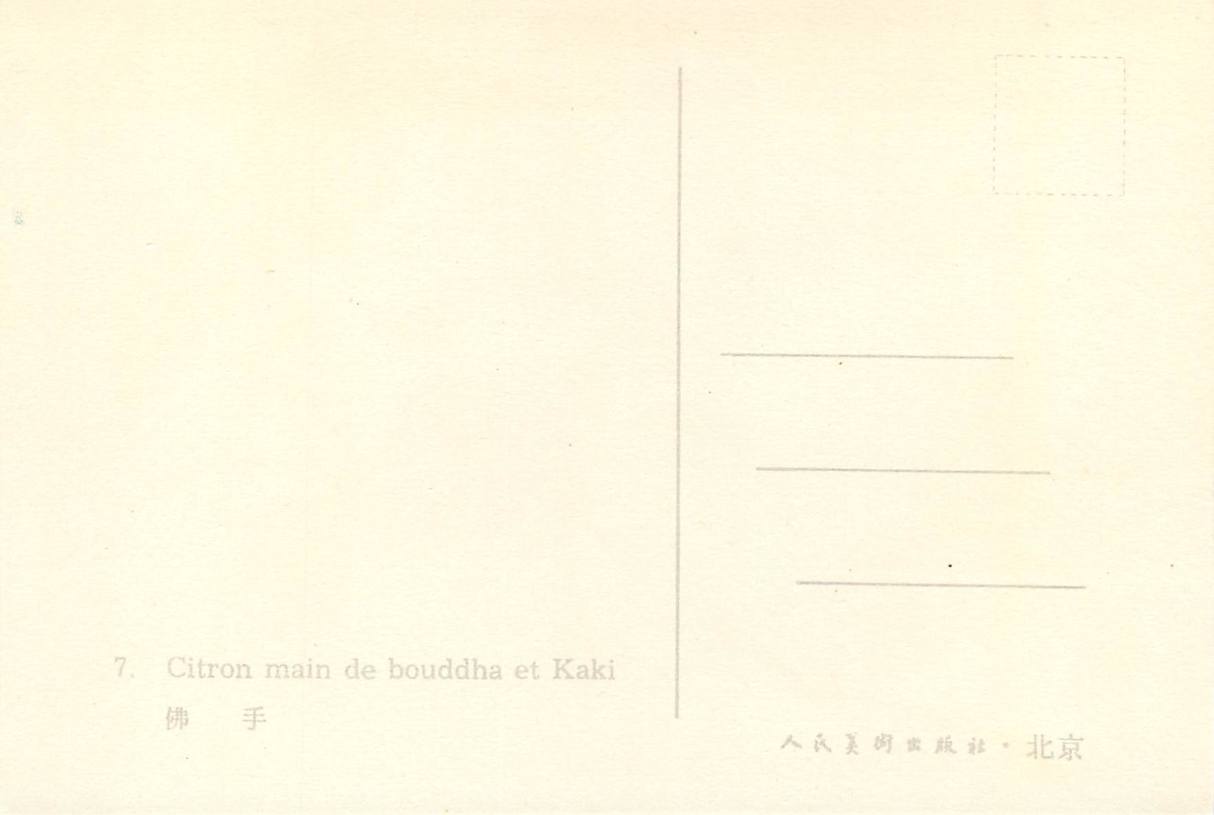 CPM China Citron main de bouddha et Kaki — Back