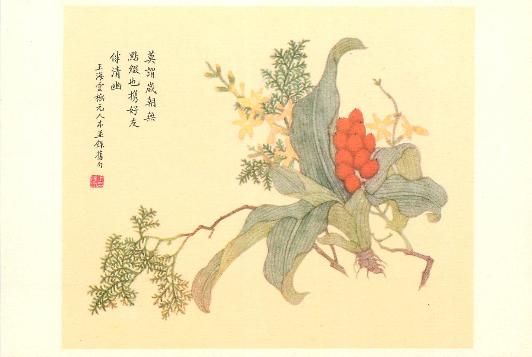 CPM China Rhodea