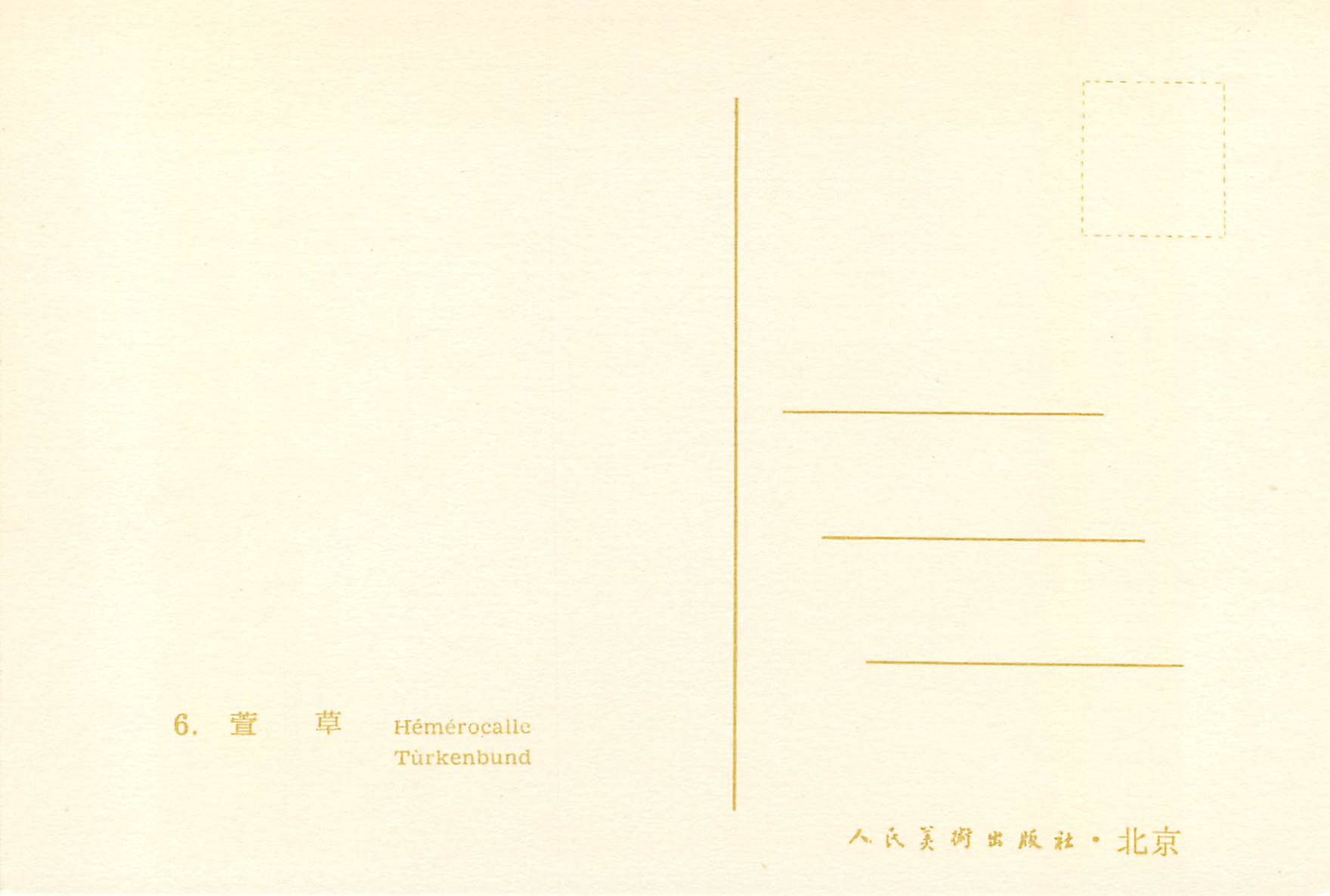 CPM China Hemerocalic — Back