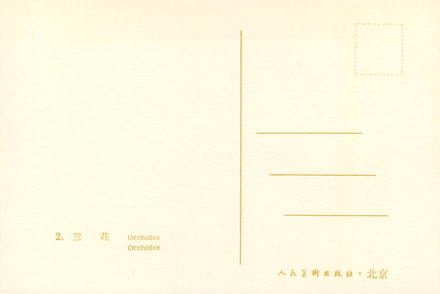 CPM China Orchidee — Back
