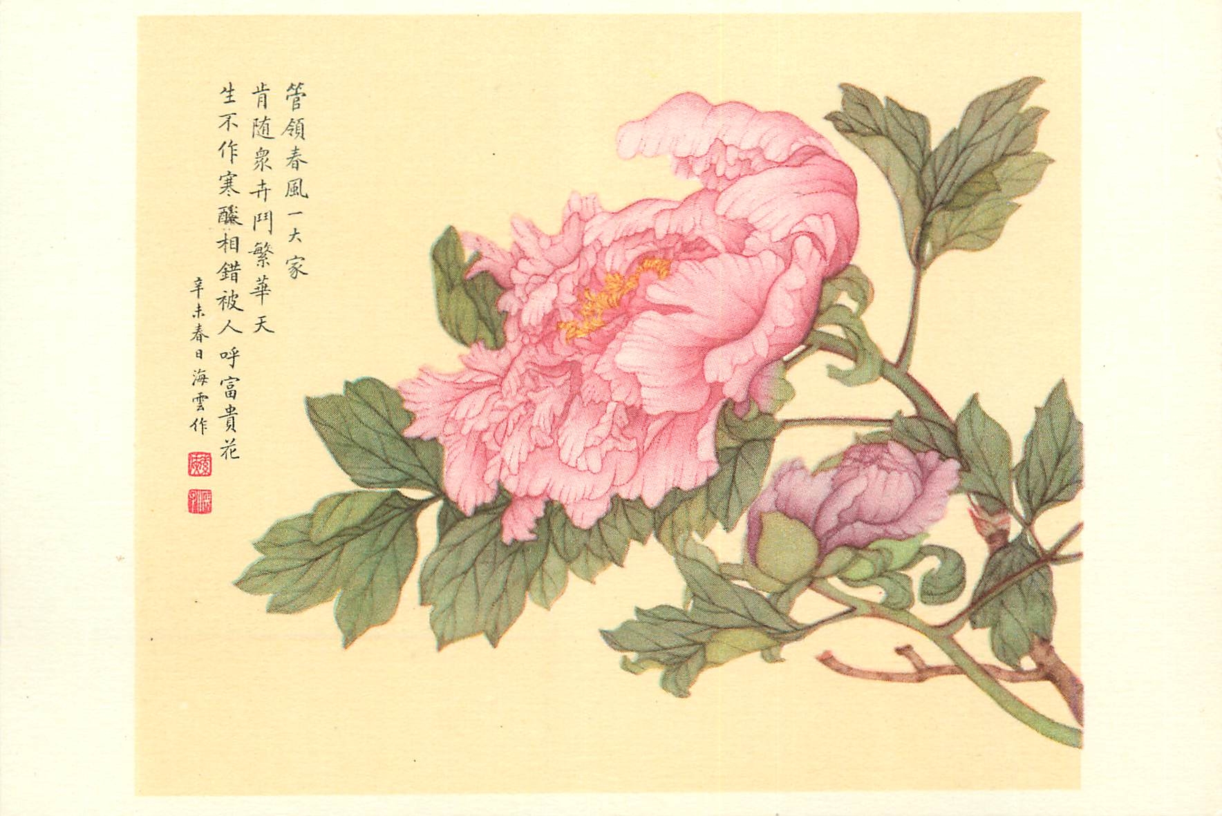 CPM China Pivoines