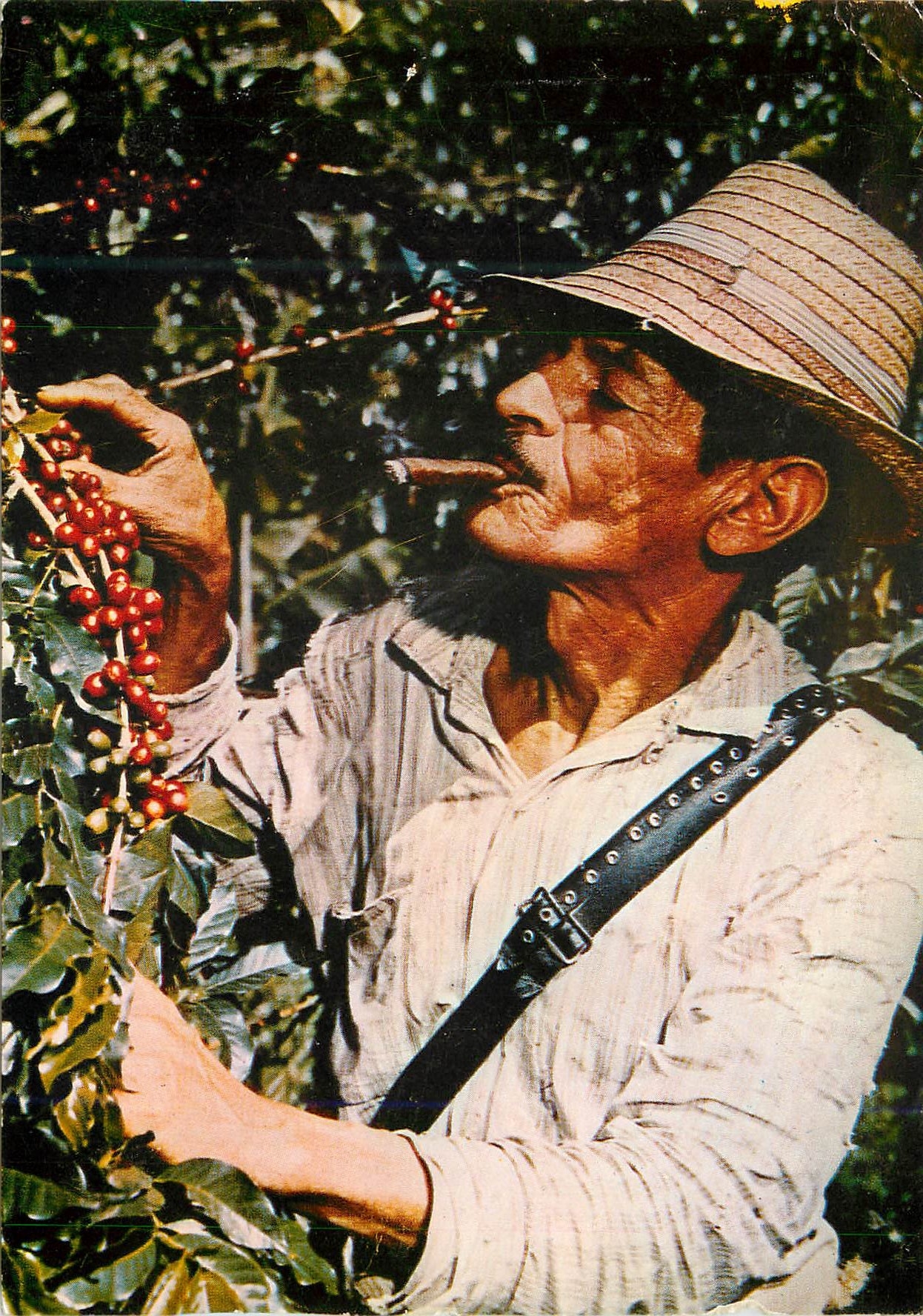 CPM Colombia Cafe Suave producto de Colombia