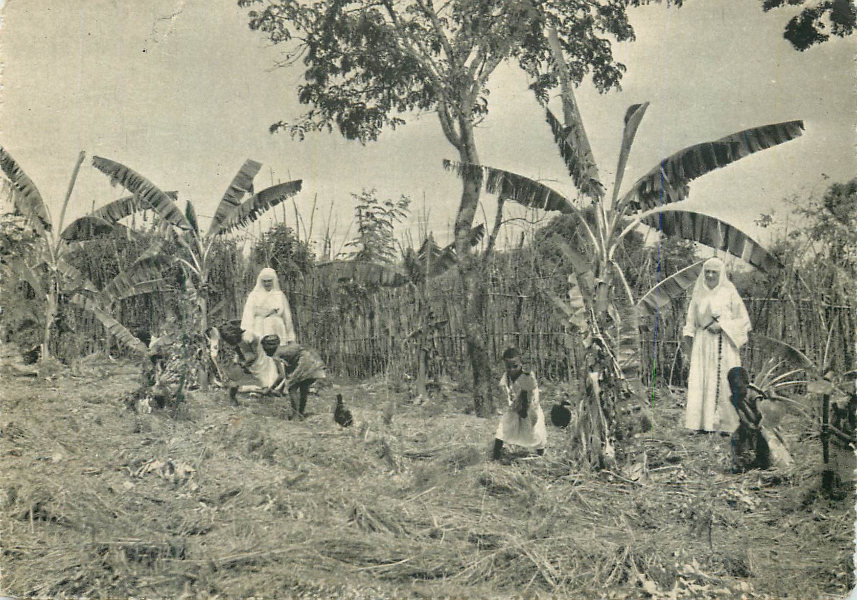 CPM Congo Belge Mission de Kahemba travail au Jardin