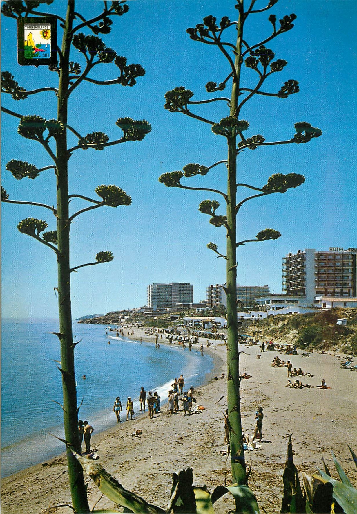 CPM Torremolinos Benalmadena (Costa del sol)
