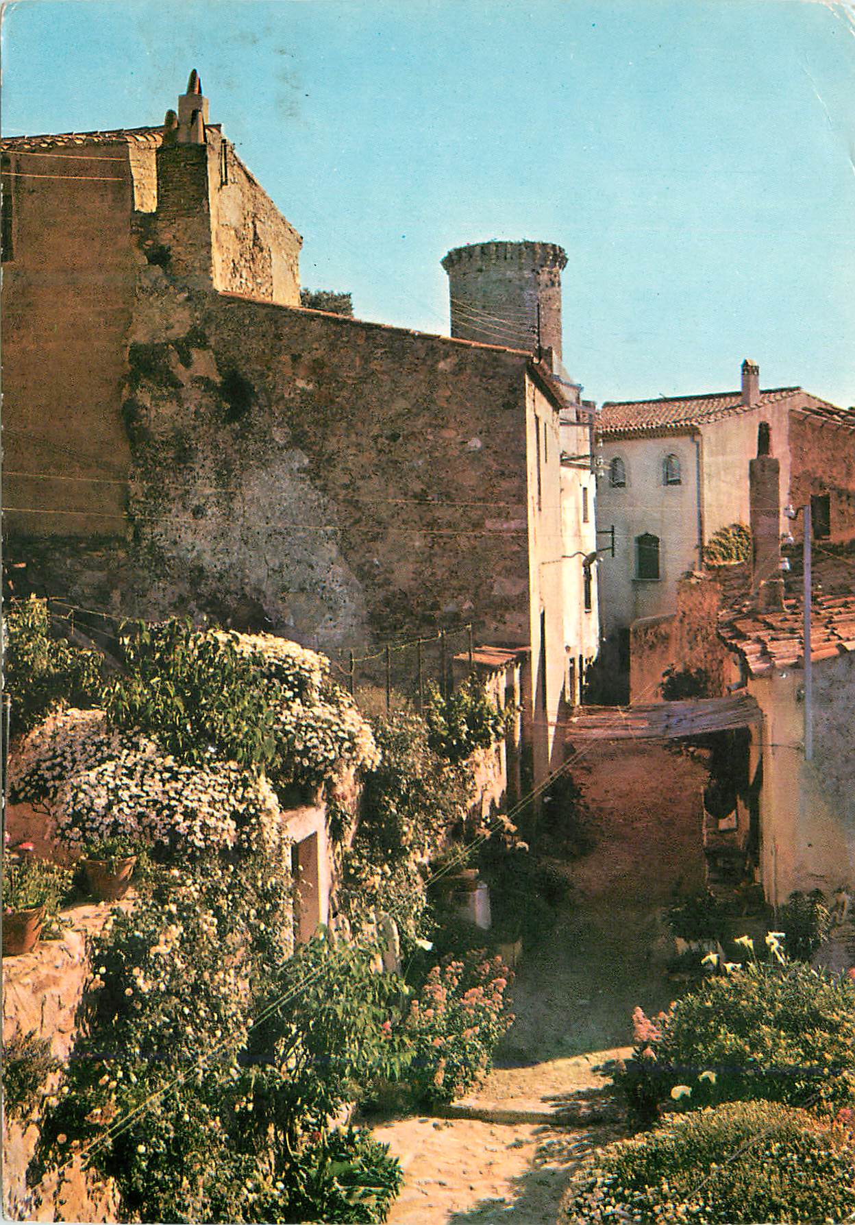 CPM Tossa Costa Brava Rue Typique 