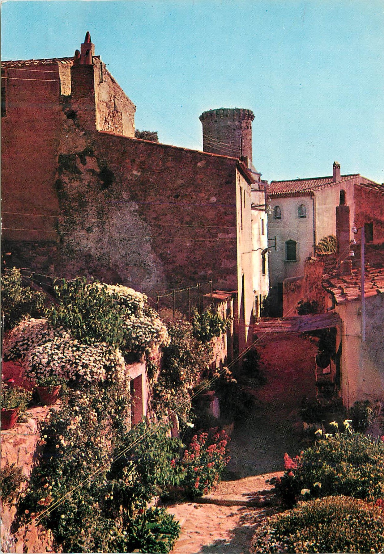 CPM Tossa Costa Brava Rue Typique