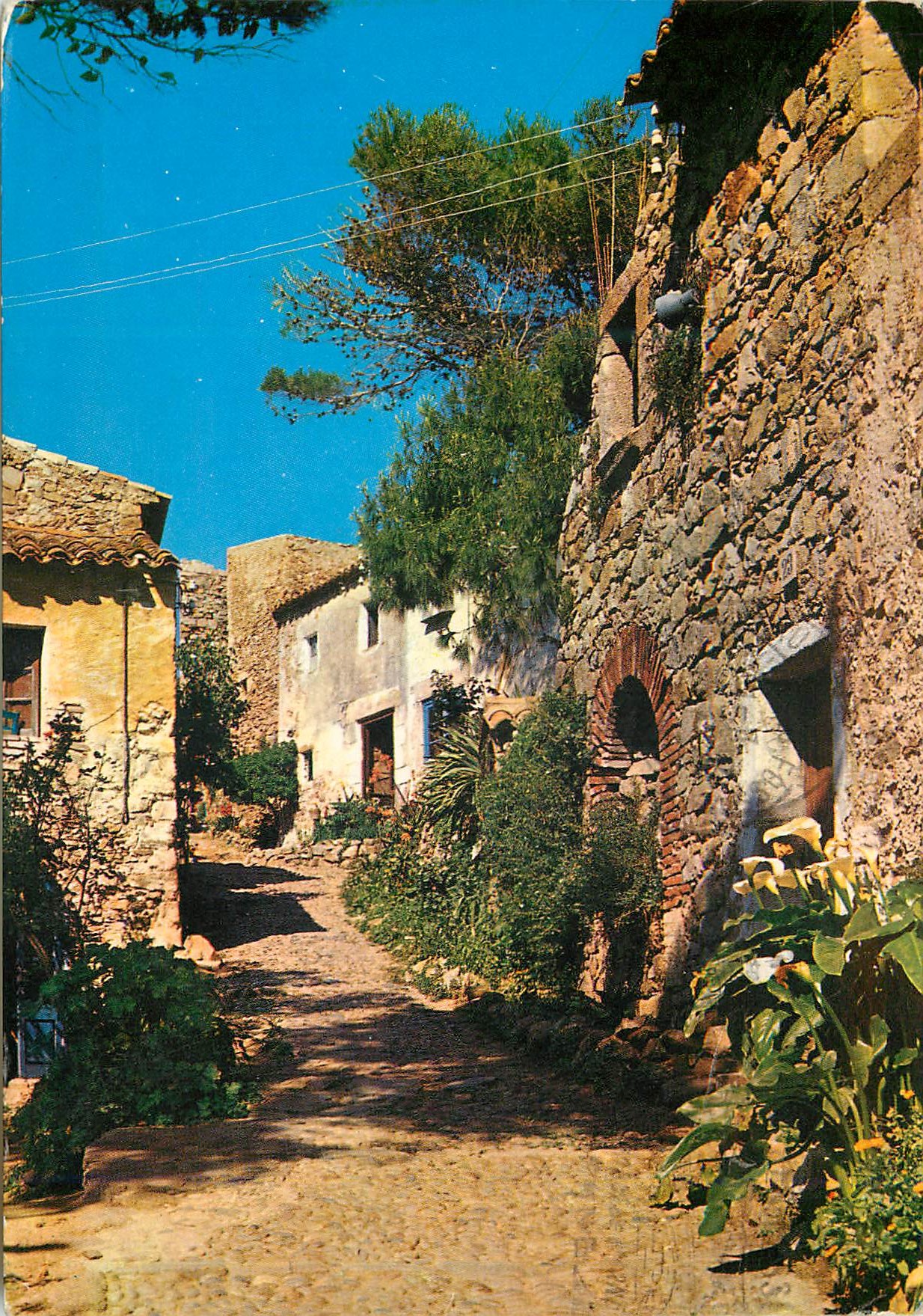 CPM Costa Brava Tossa la Grande Rue 