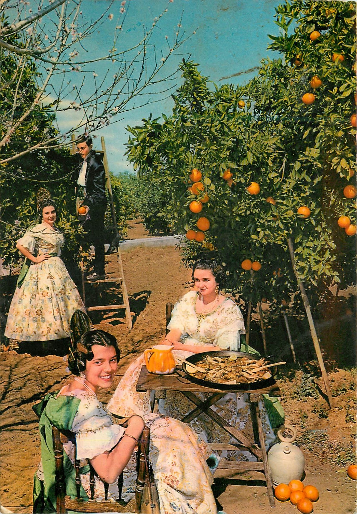 CPM Valencia Mets Typique Paella dans un Verger d'orangers