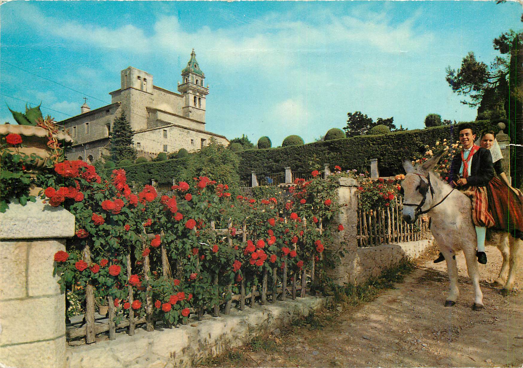 CPM Mallorca Baleares Espana Valldemosa Ane Donkey