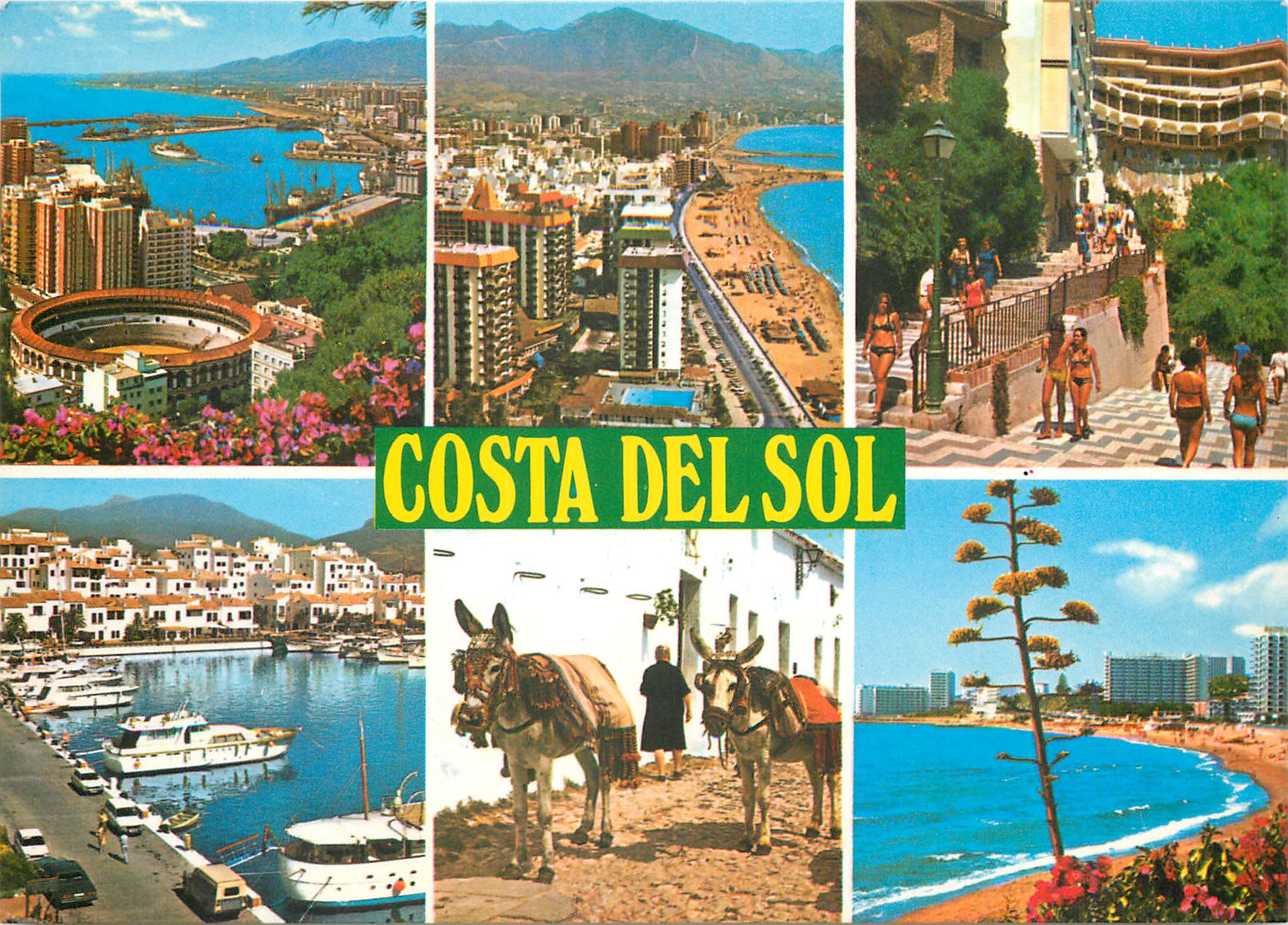 CPM Costa Del Sol Malaga Fuengirola Torremolinos Marbella