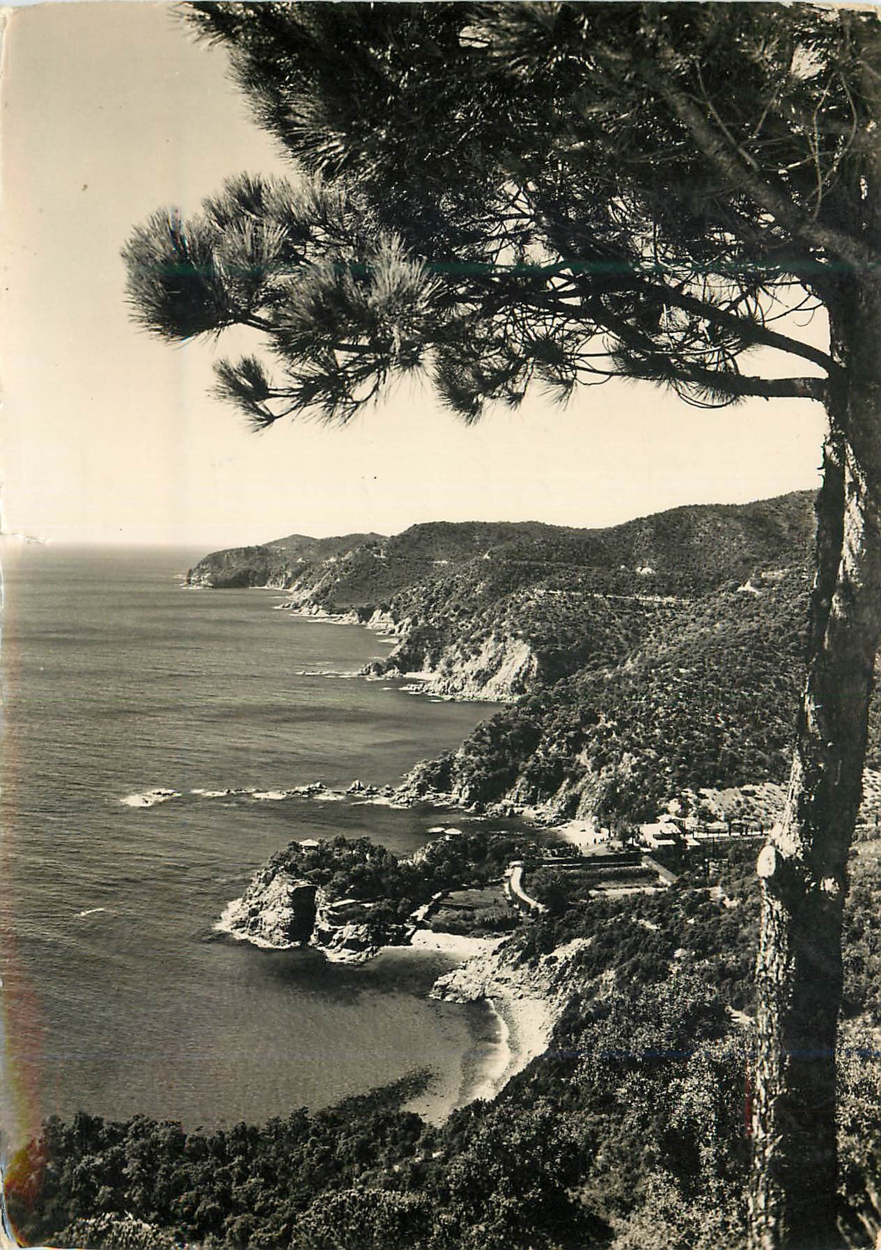 CPM Costa Brava San Feliu de Guixolsco Route de Tossa et Rosamar