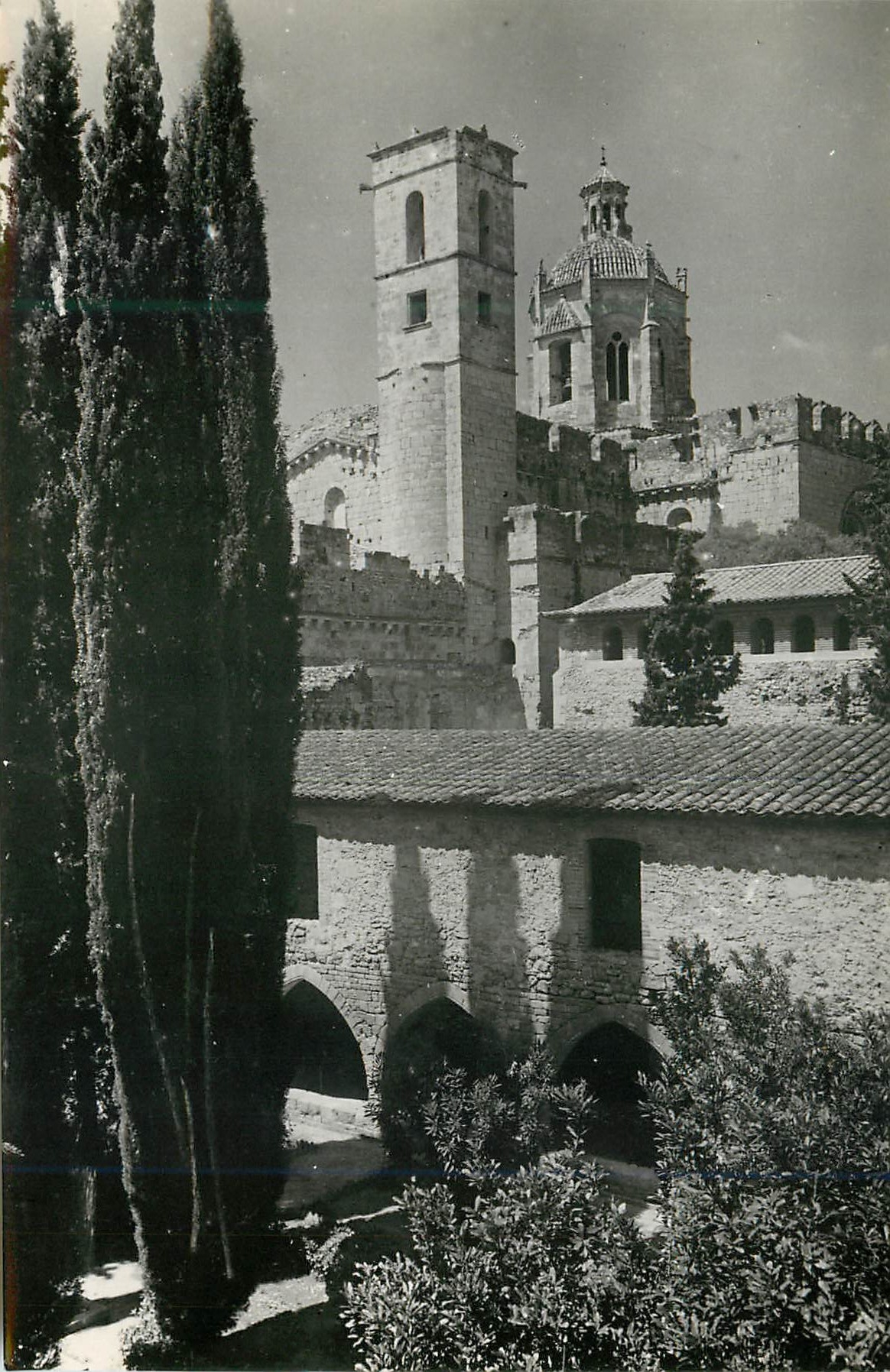 CPM Monasterio de Santes Creus Detail de la Cloitre Postherieur