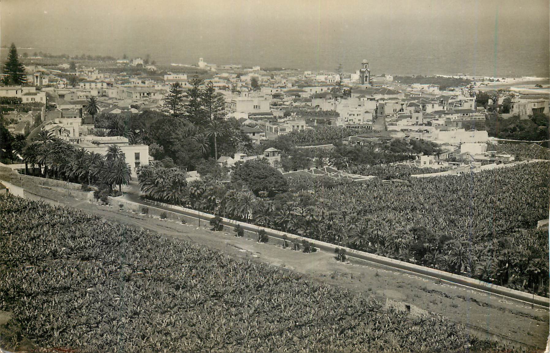 CPM Puerto de la Cruz Vue Partielle