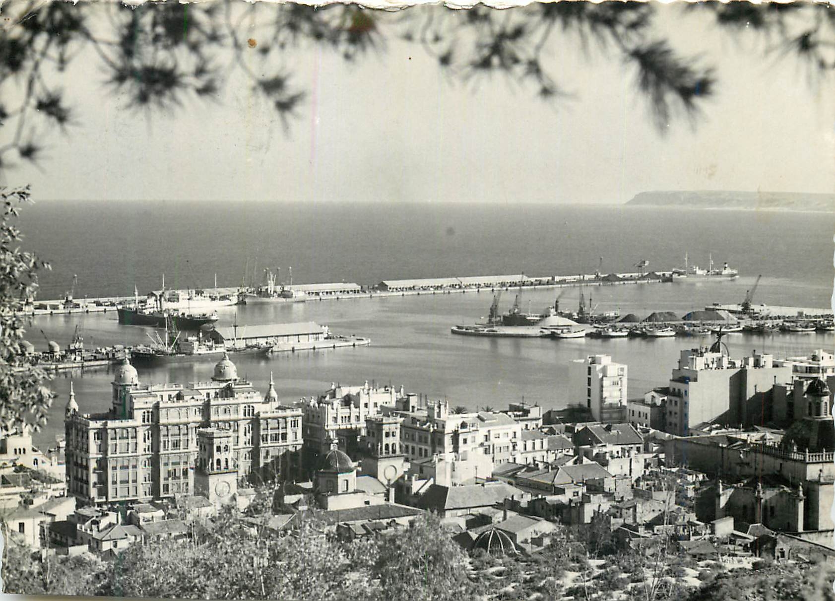 CPM Alicante Vista parcial