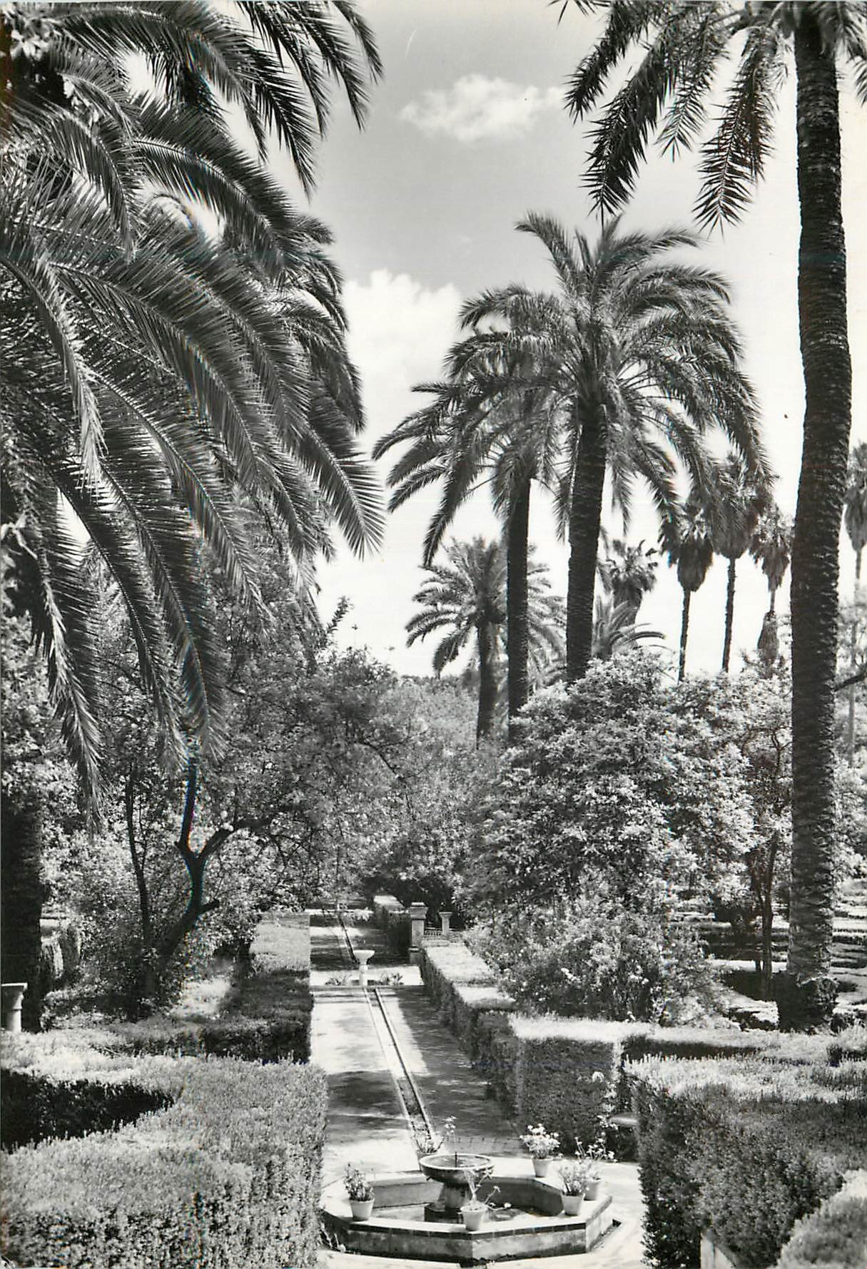 CPM Reales Alcazares de Sevilla Jardins de l'Empereur