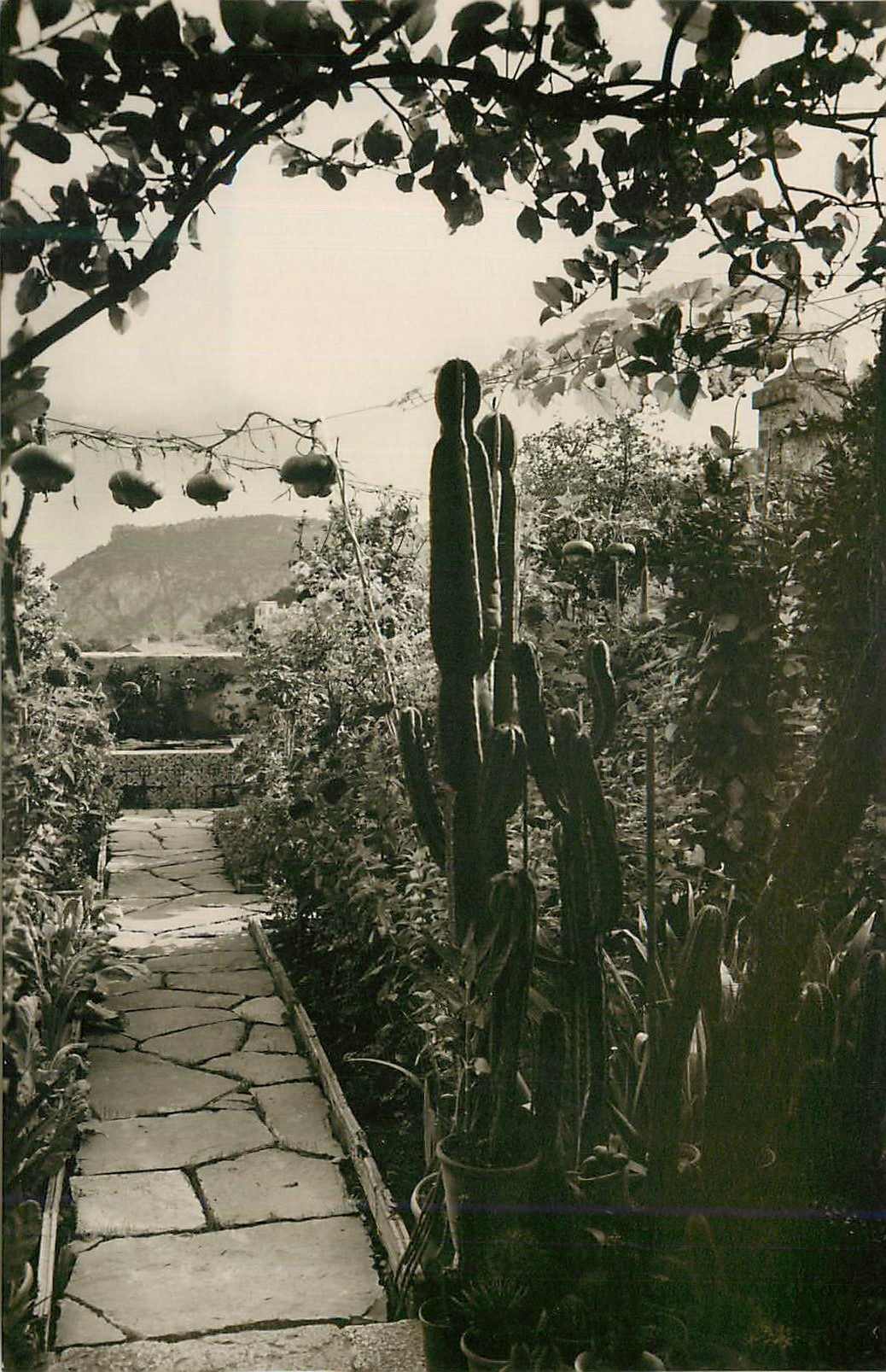 CPM Mallorca Valldemosa Jardin de la Colda Museo