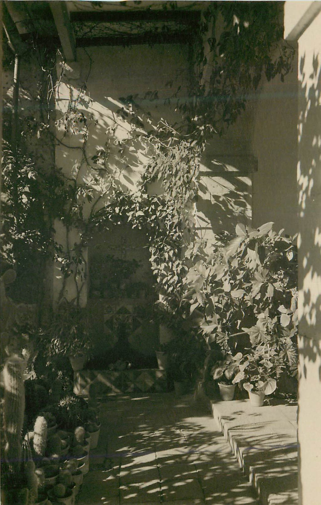 CPM Mallorca Valldemosa Deialle del Jardin de la Colda Museo Jardin de George Sand