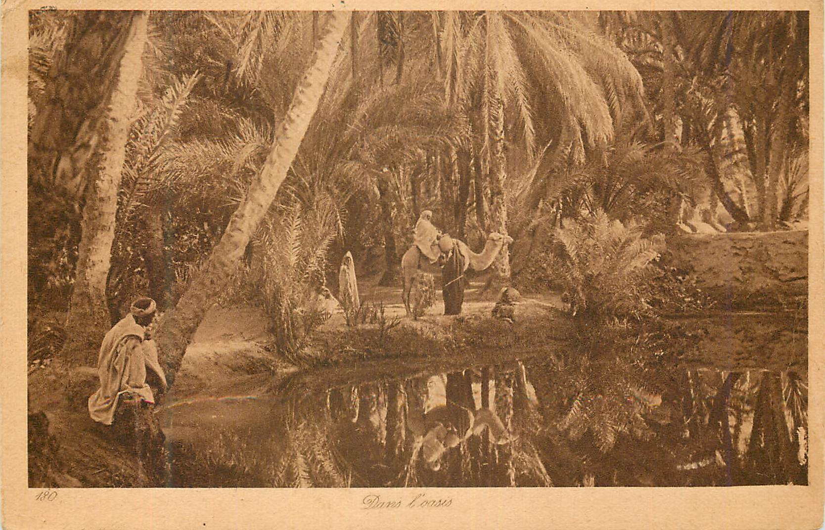 CPA Dans l'oasis Chameau