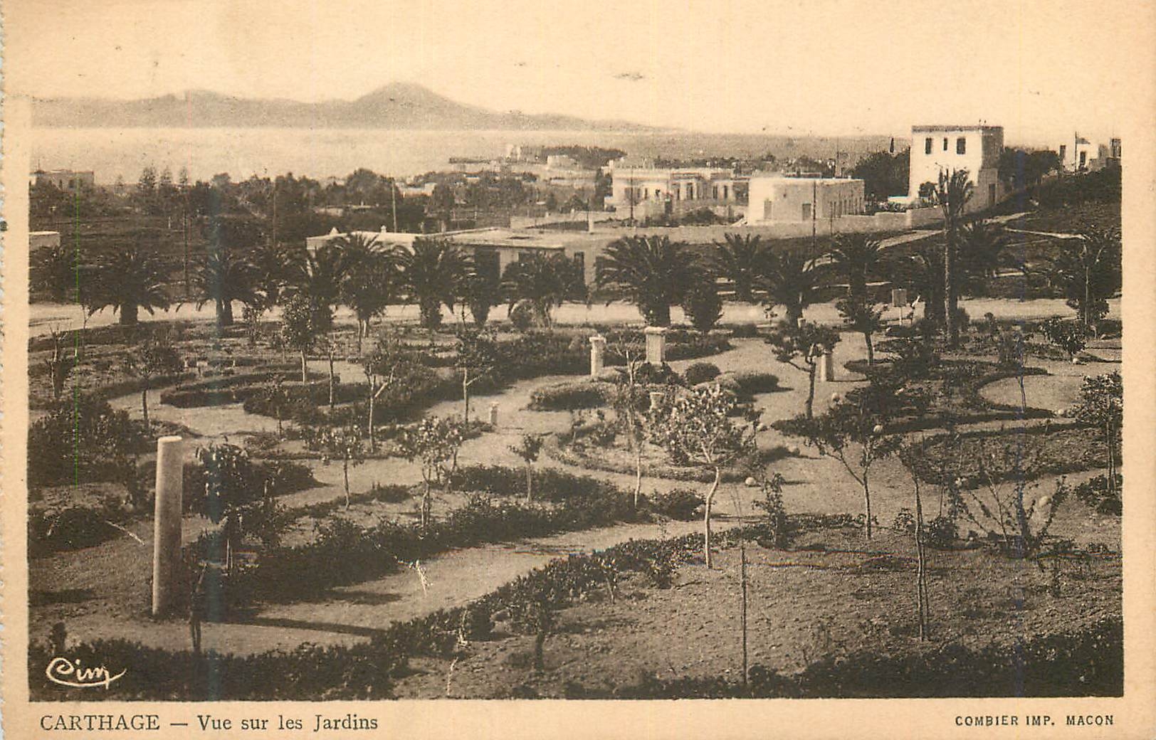 CPA Carthage Vue sur les Jardins