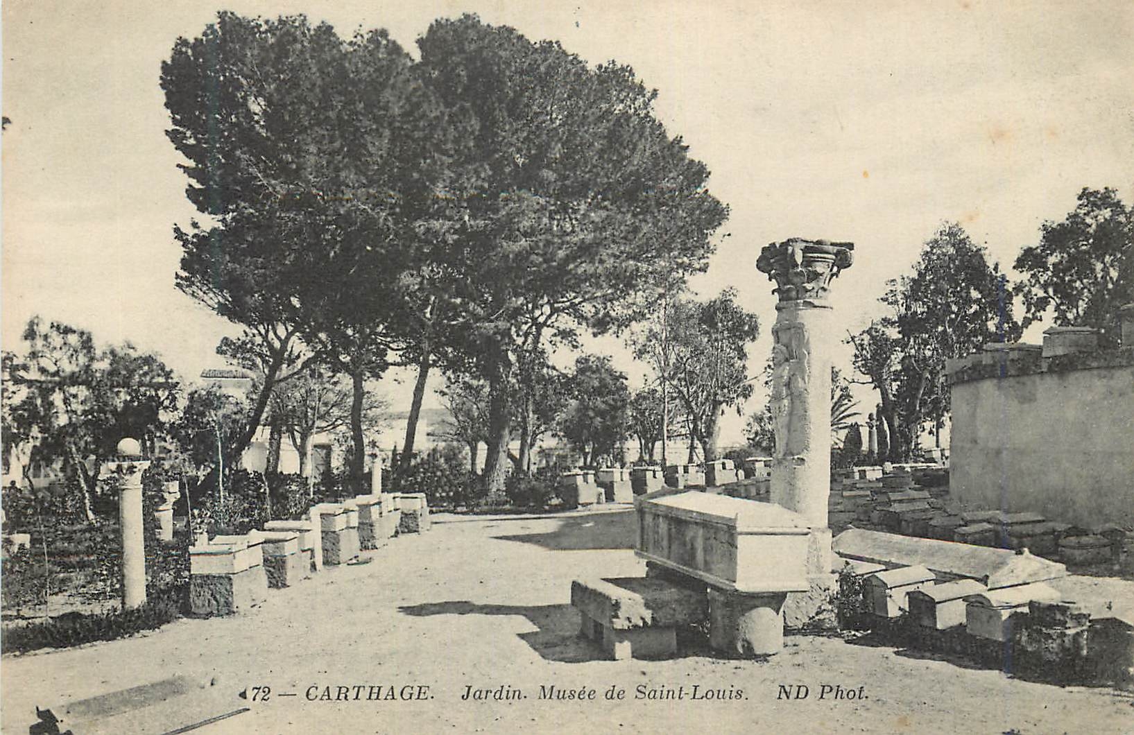 CPA Carthage Jardin Musee de Saint Louis