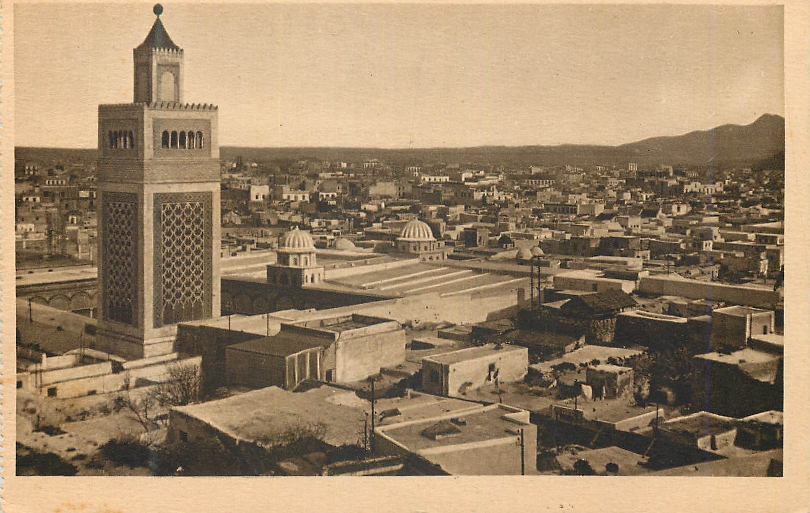 CPA Tunis (Tunisie) Vue Generale