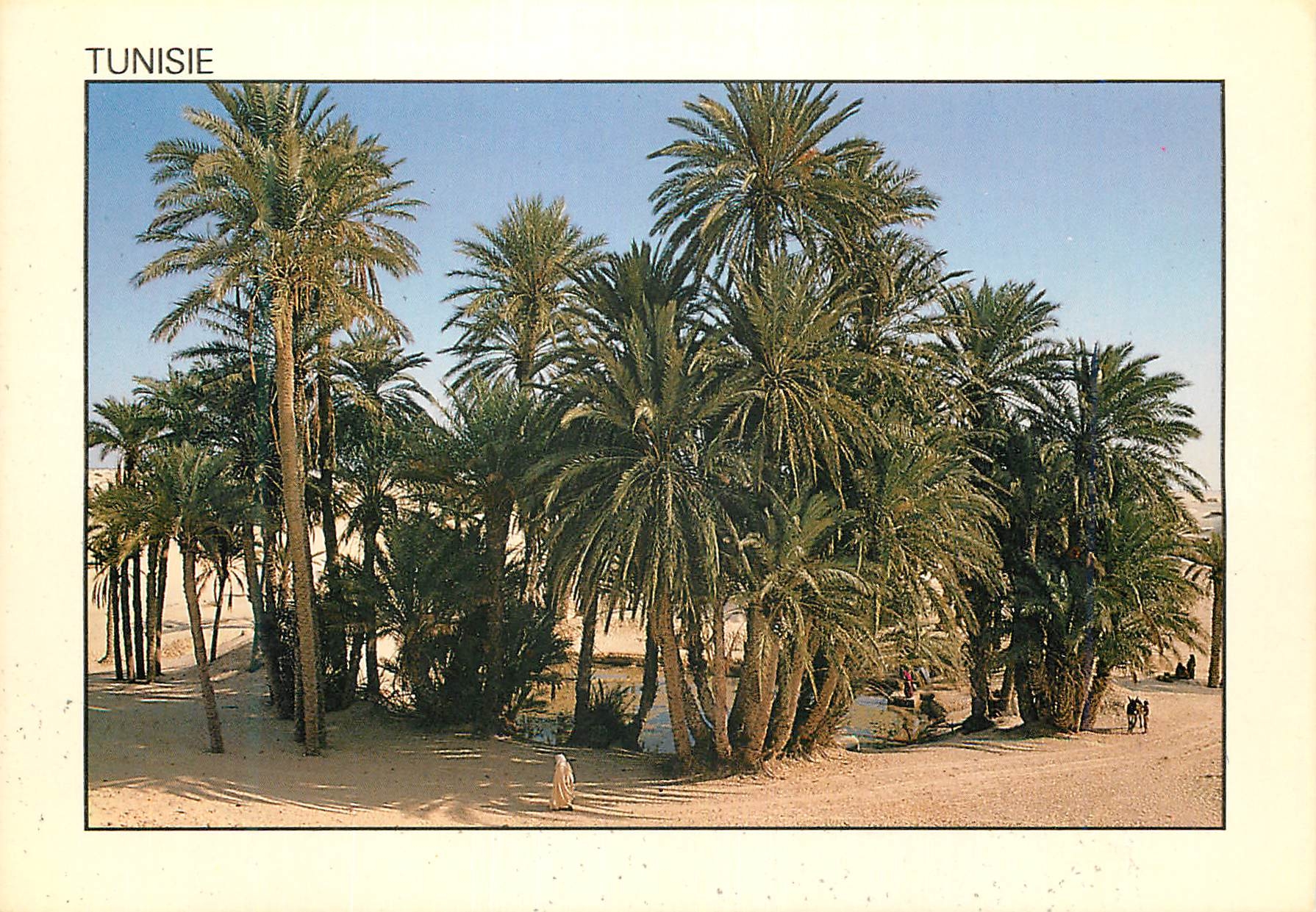CPM Tunisie Le Sahara une Casis perdue dans les Sables 