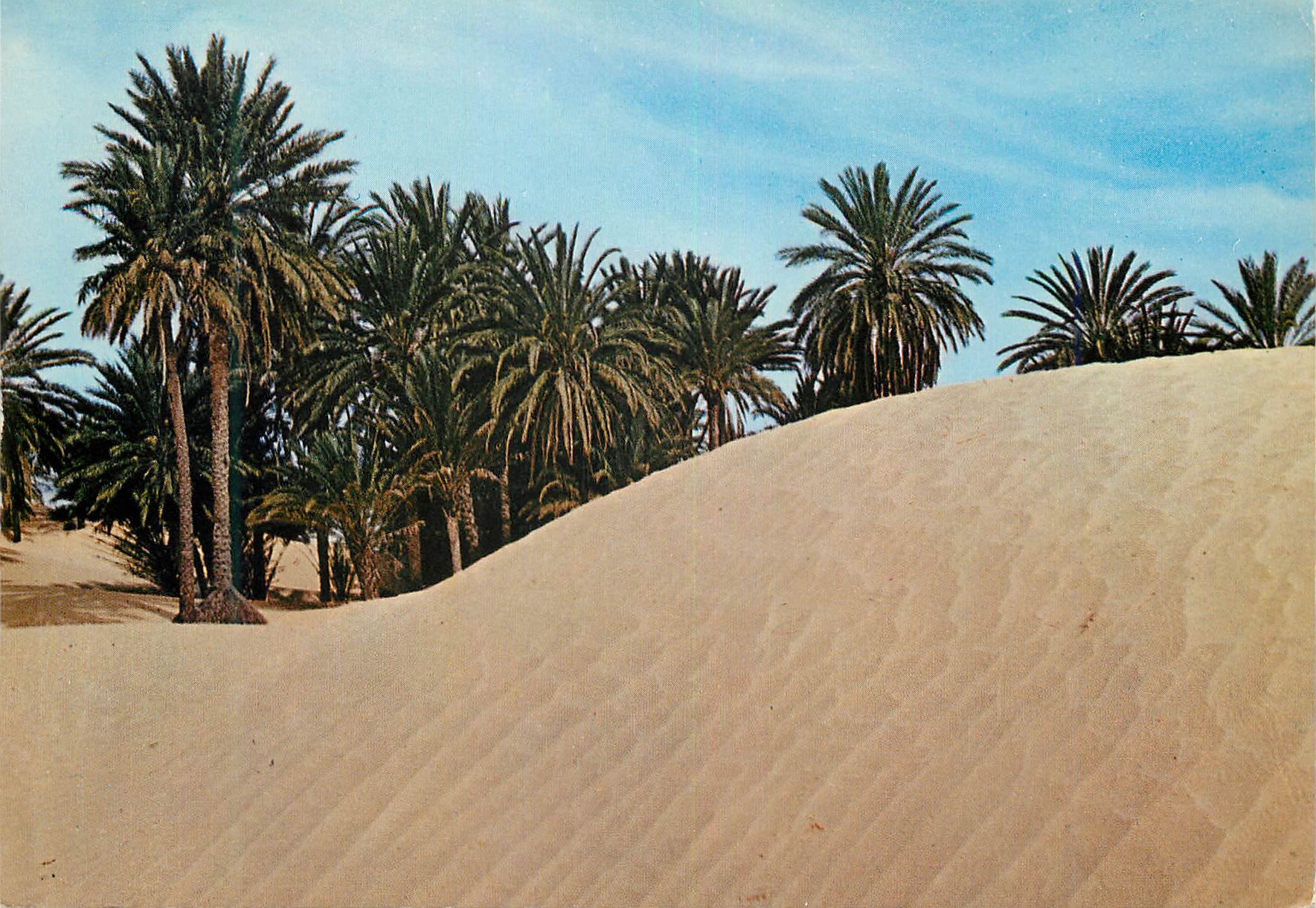 CPM Tunisie Sahara