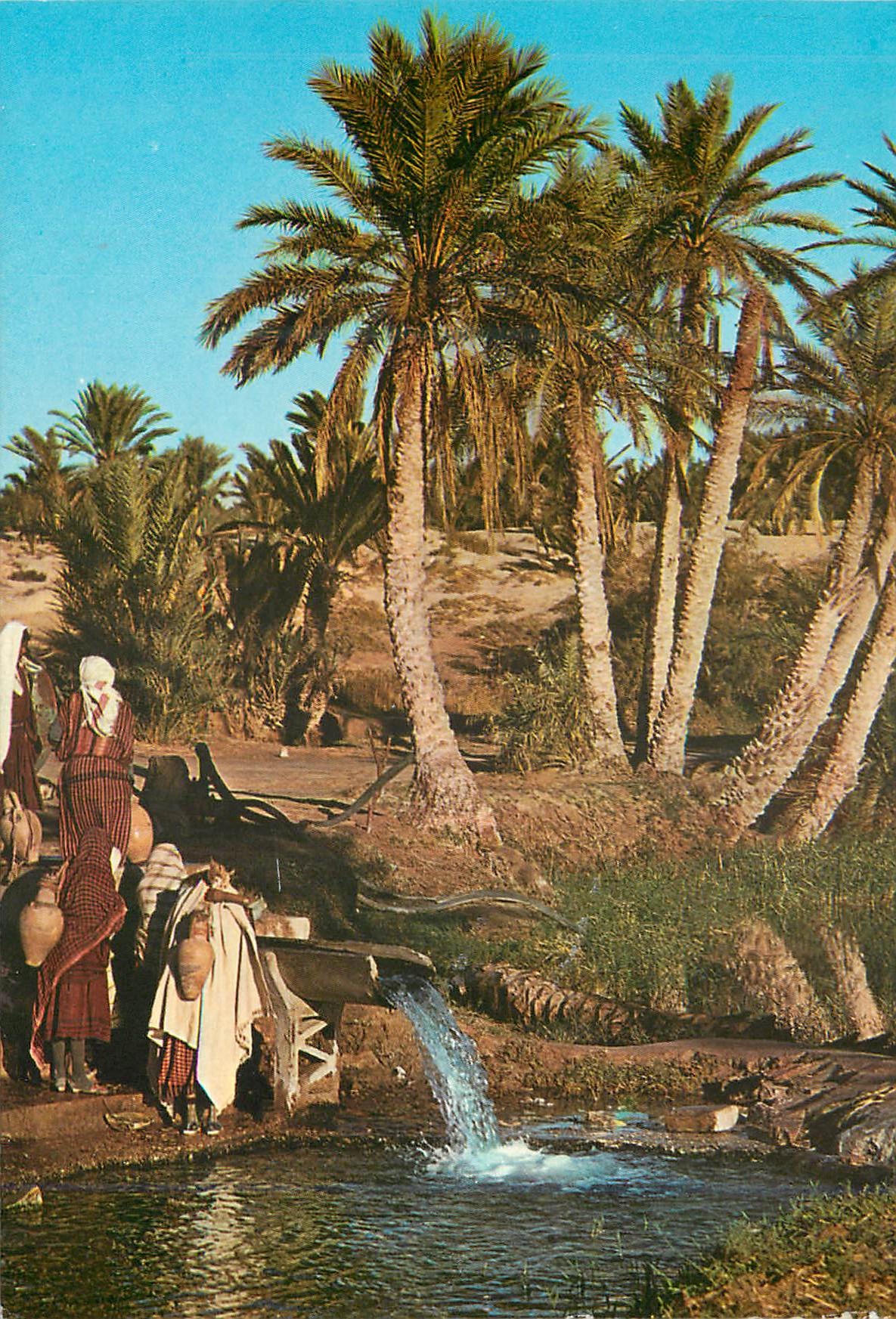 CPM Oasis de Tunisie