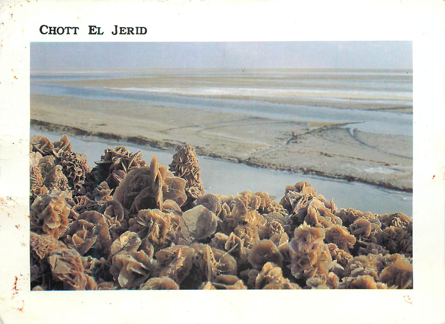 CPM Tunisie Roses de sable sur le Chott El Jerid