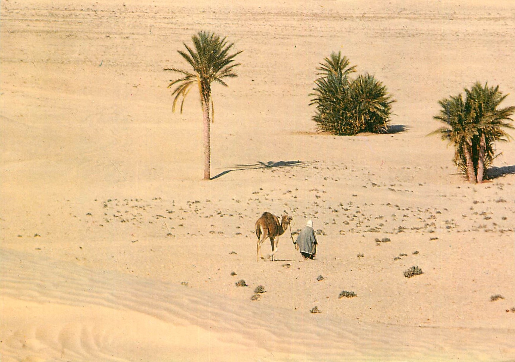 CPM Sud Tunisien vers le Sahara
