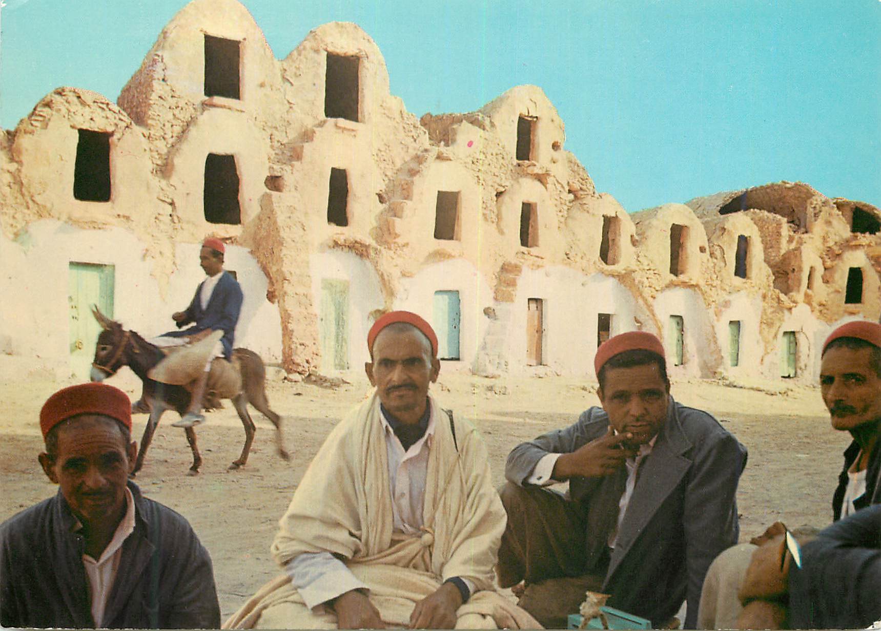 CPM Tunisie Ghorfas Ane Donkey