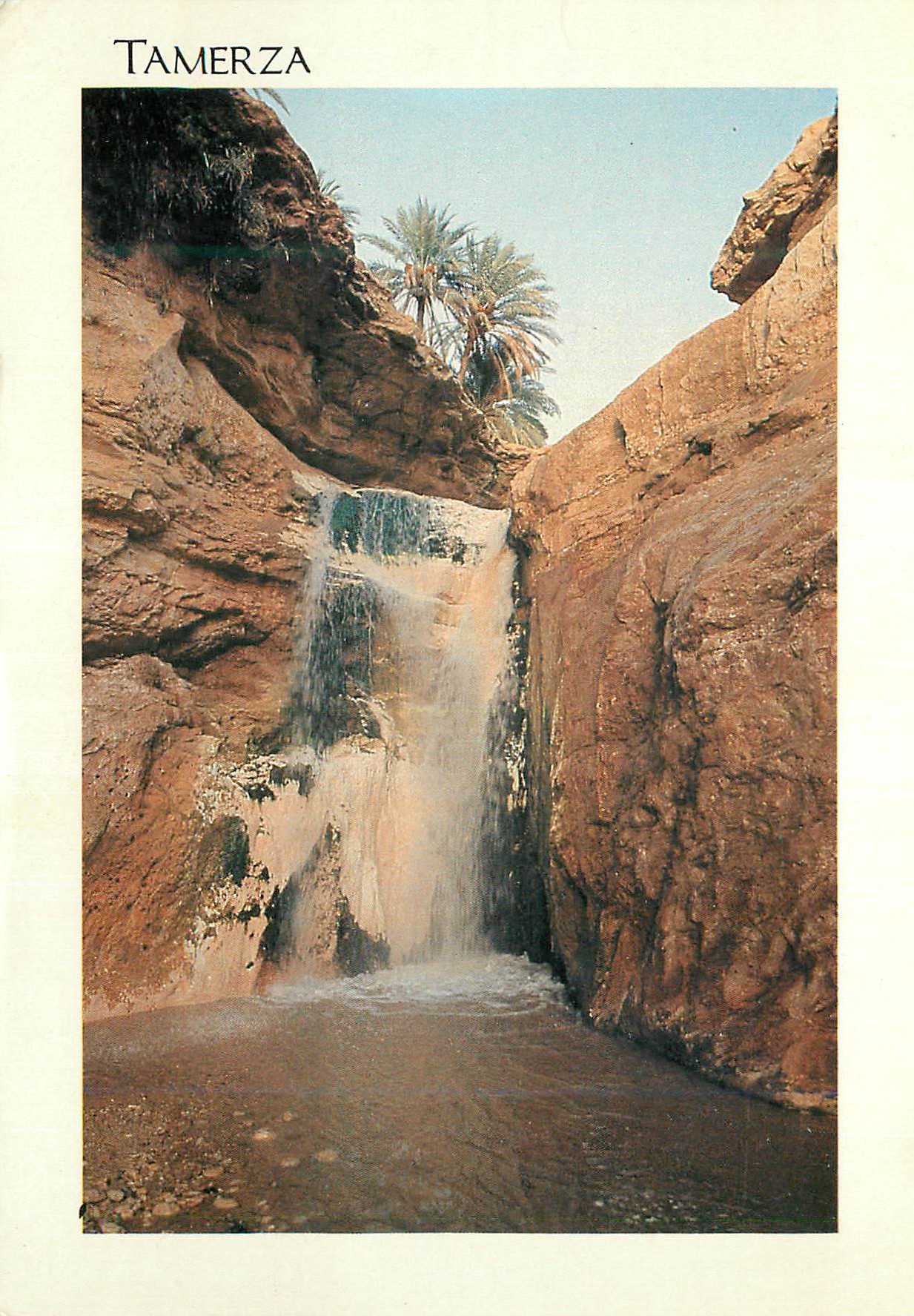 CPM Tamerza Charmes et douceur de Tunisie La Cascade