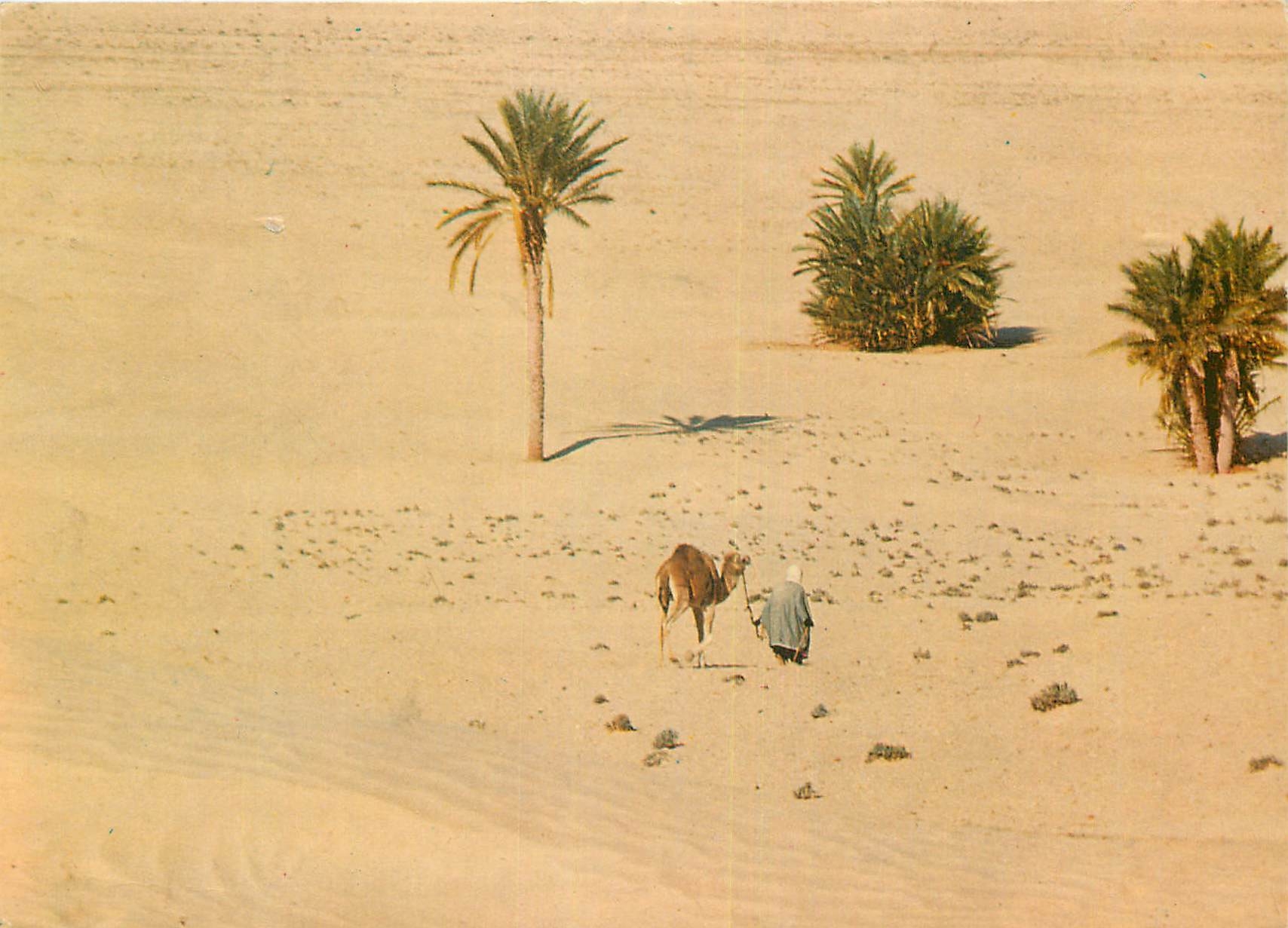 CPM Sud Tunisien: vers le Sahara