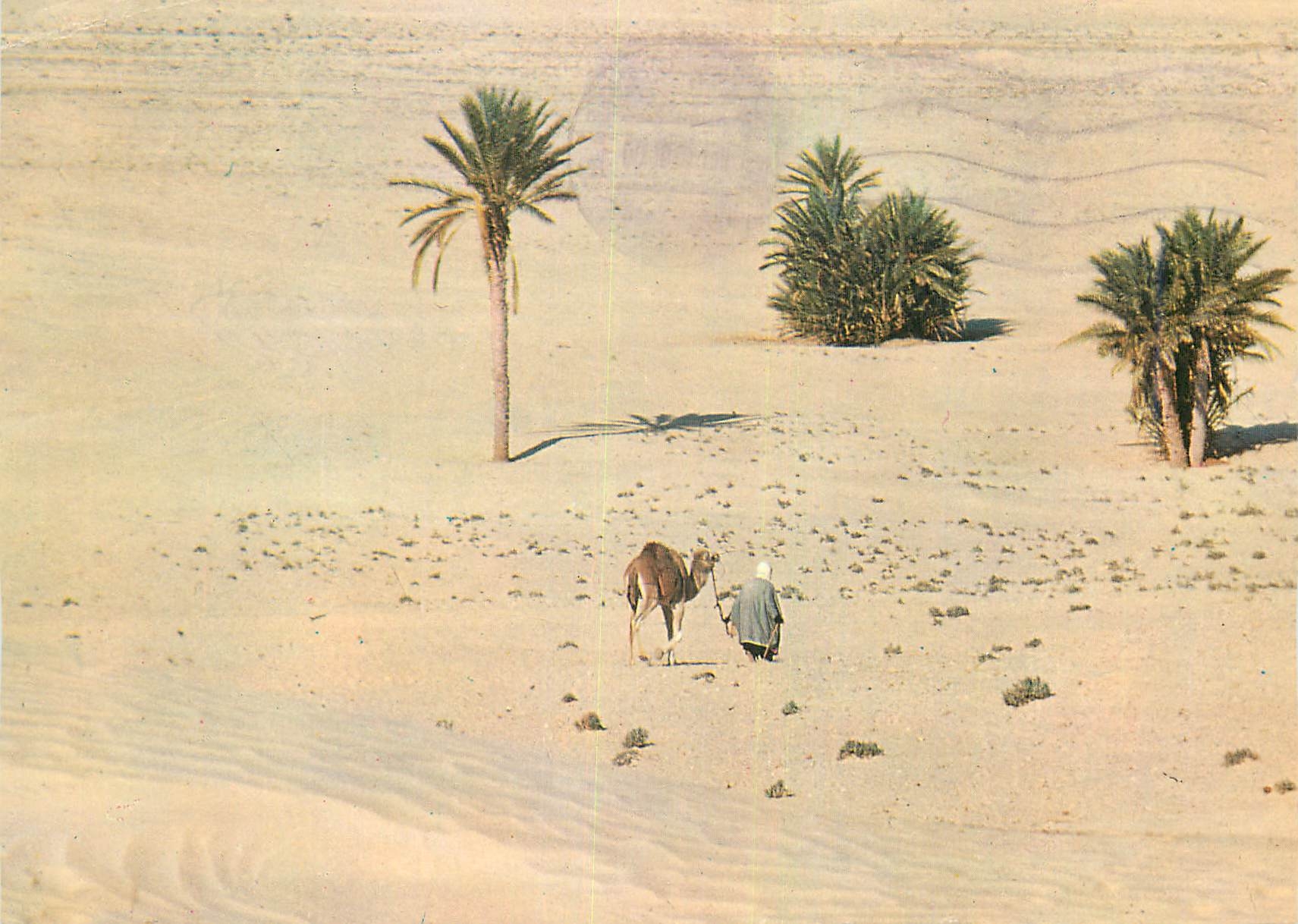 CPM Sud Tunisien Vers le Sahara