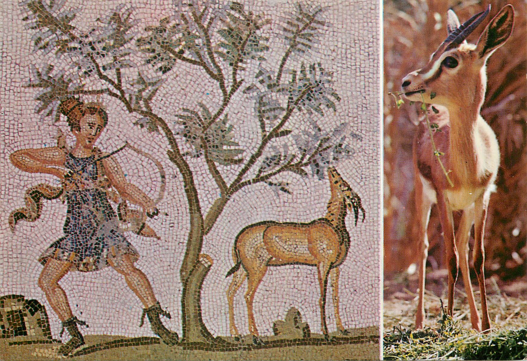 CPM Tunisie Mosaique du Bardo et Gazelle du Sahara